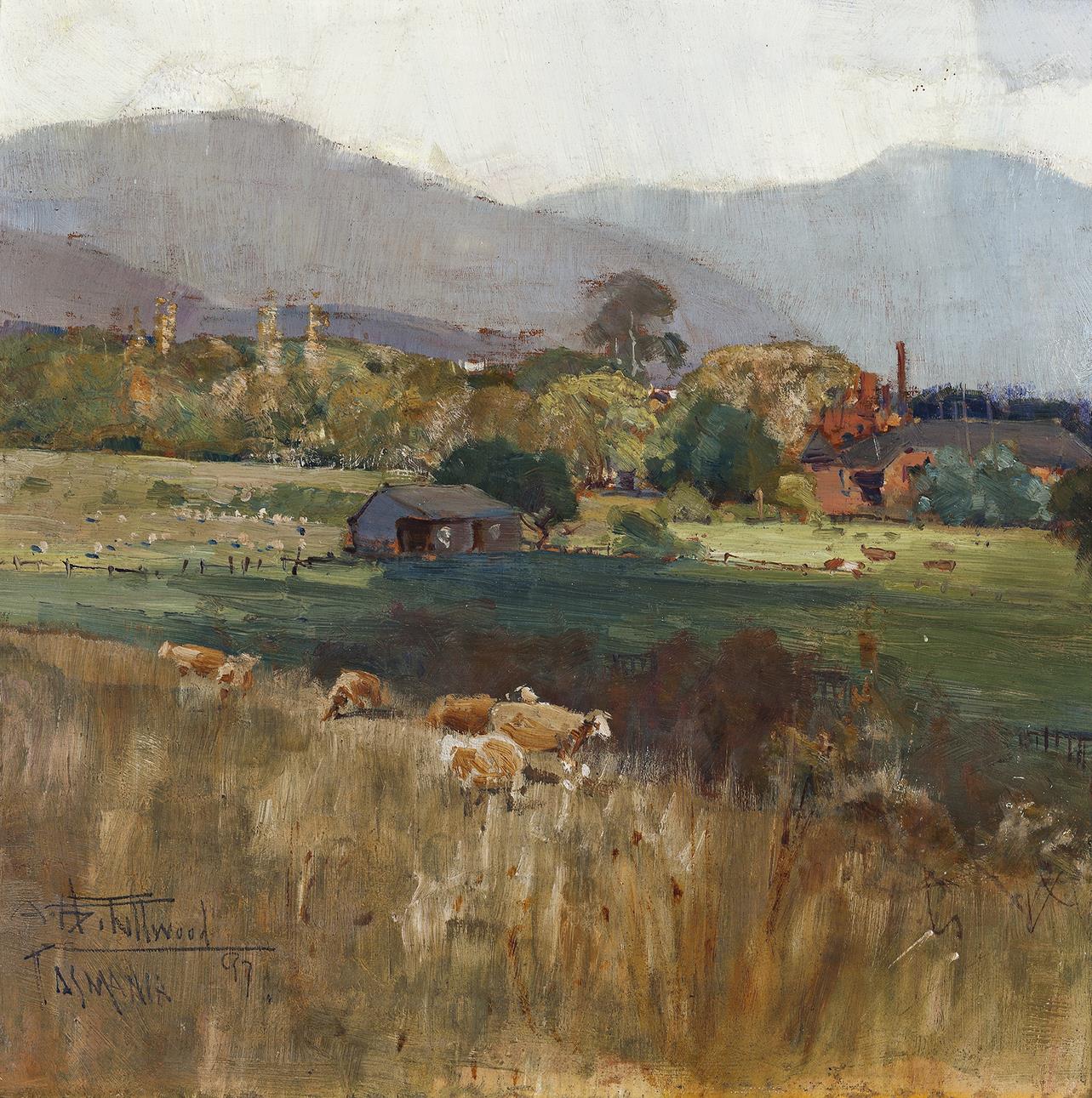 NEW TOWN, TASMANIA