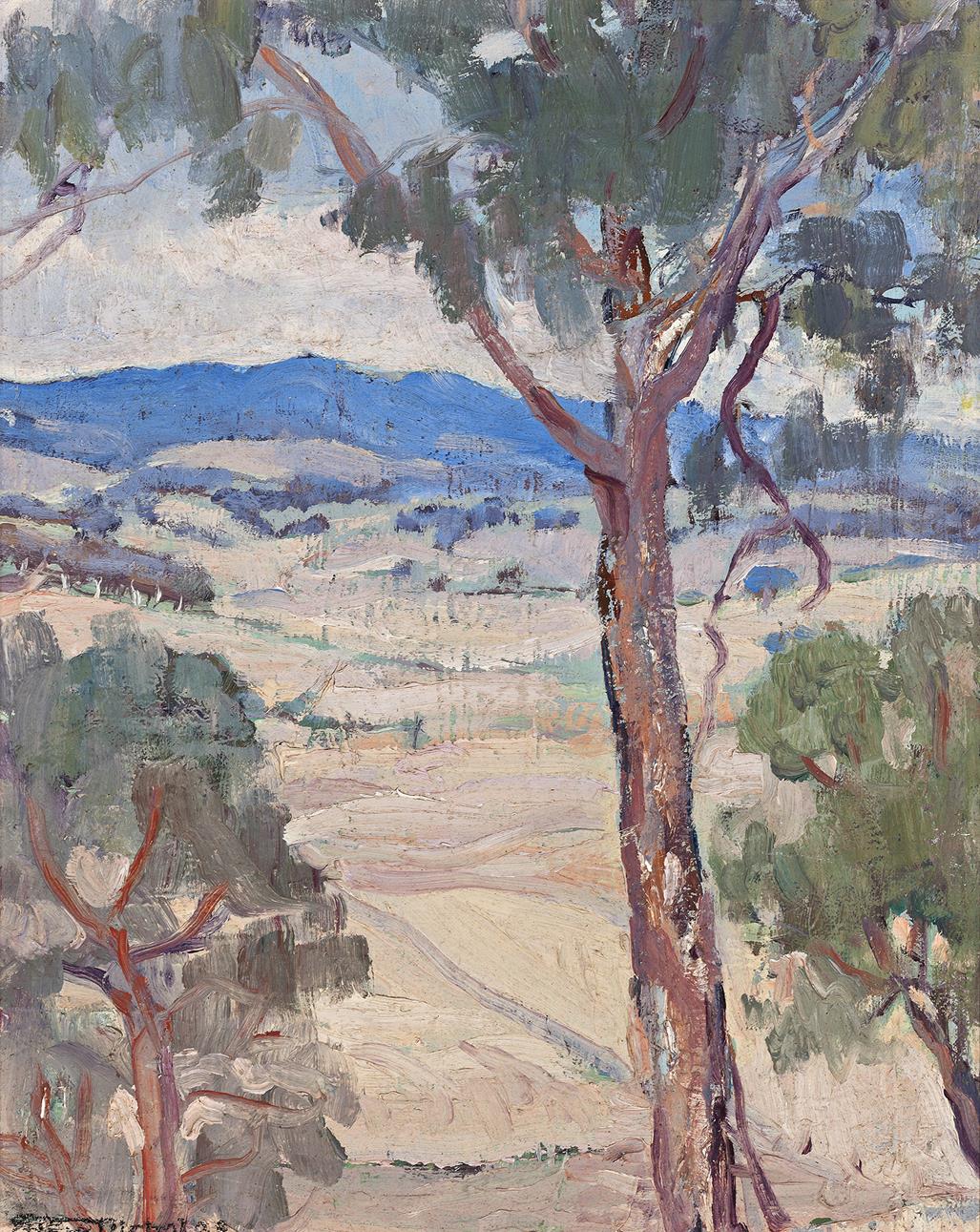 MONARO LANDSCAPE