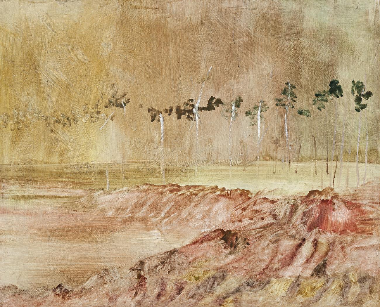 WIMMERA LANDSCAPE