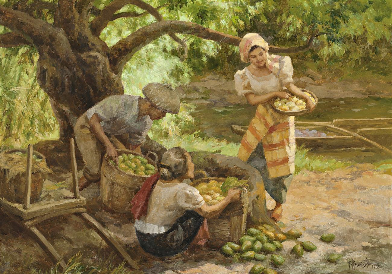 GATHERING MANGOES
