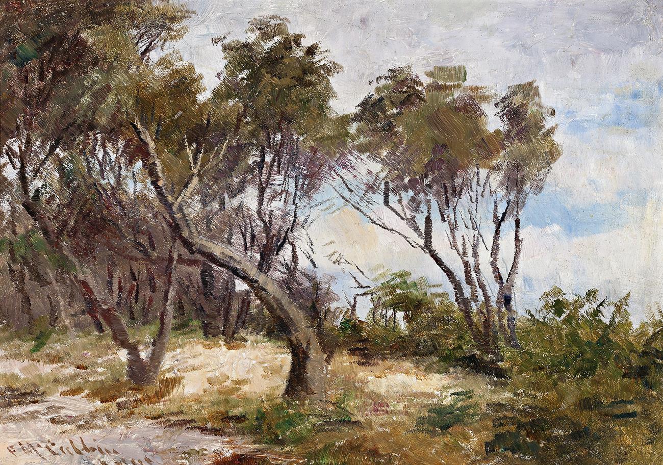 TI TREE AT MENTONE