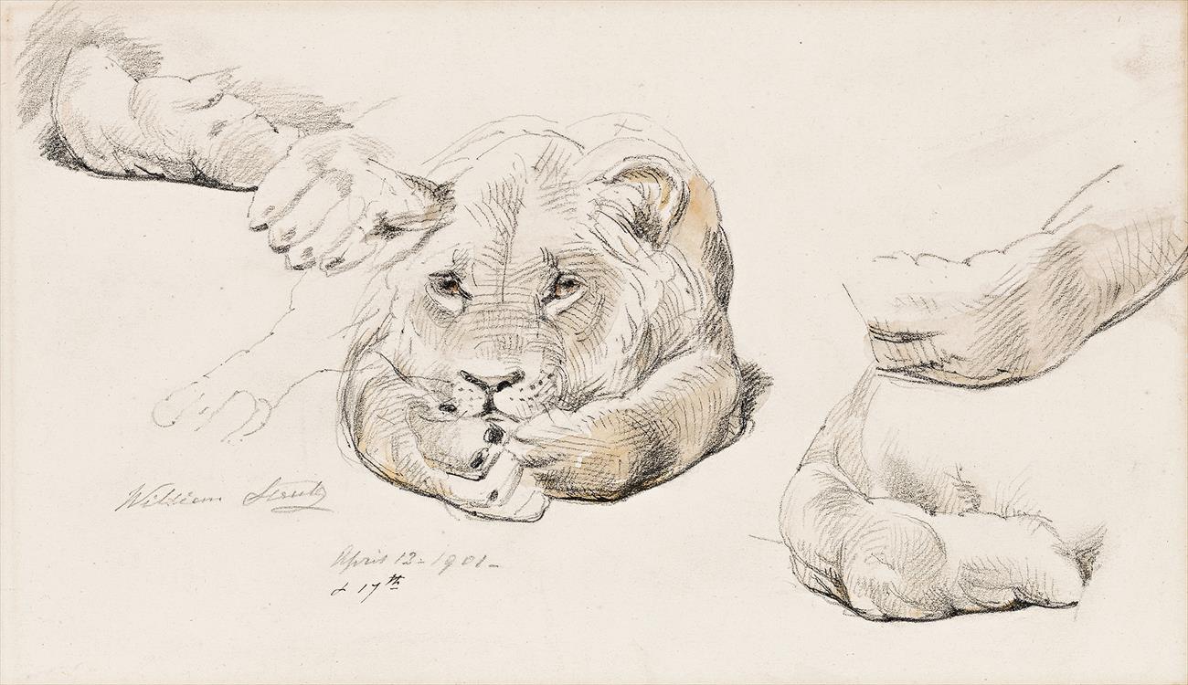 A COLLECTION OF NINE STUDIES