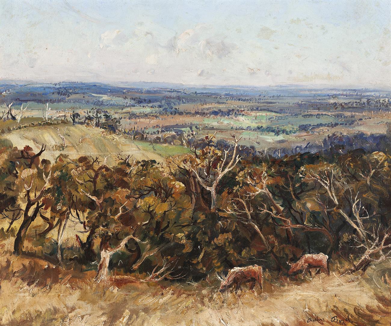BERWICK LANDSCAPE