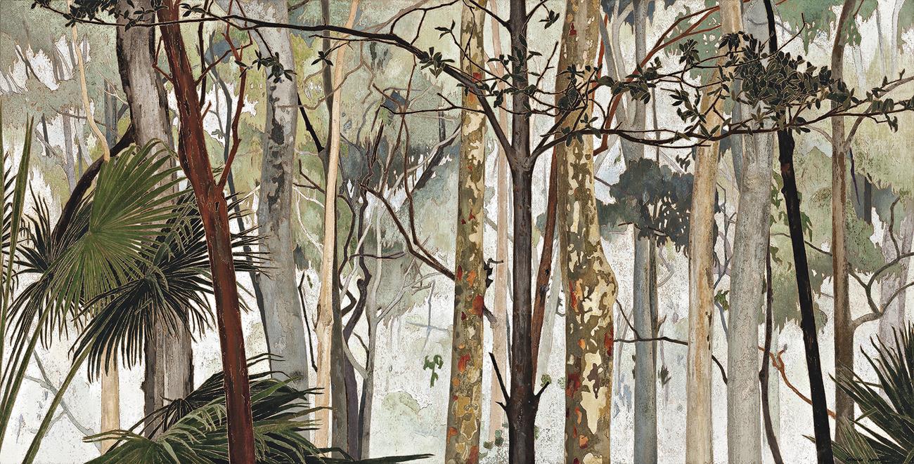 EUCALYPT FOREST