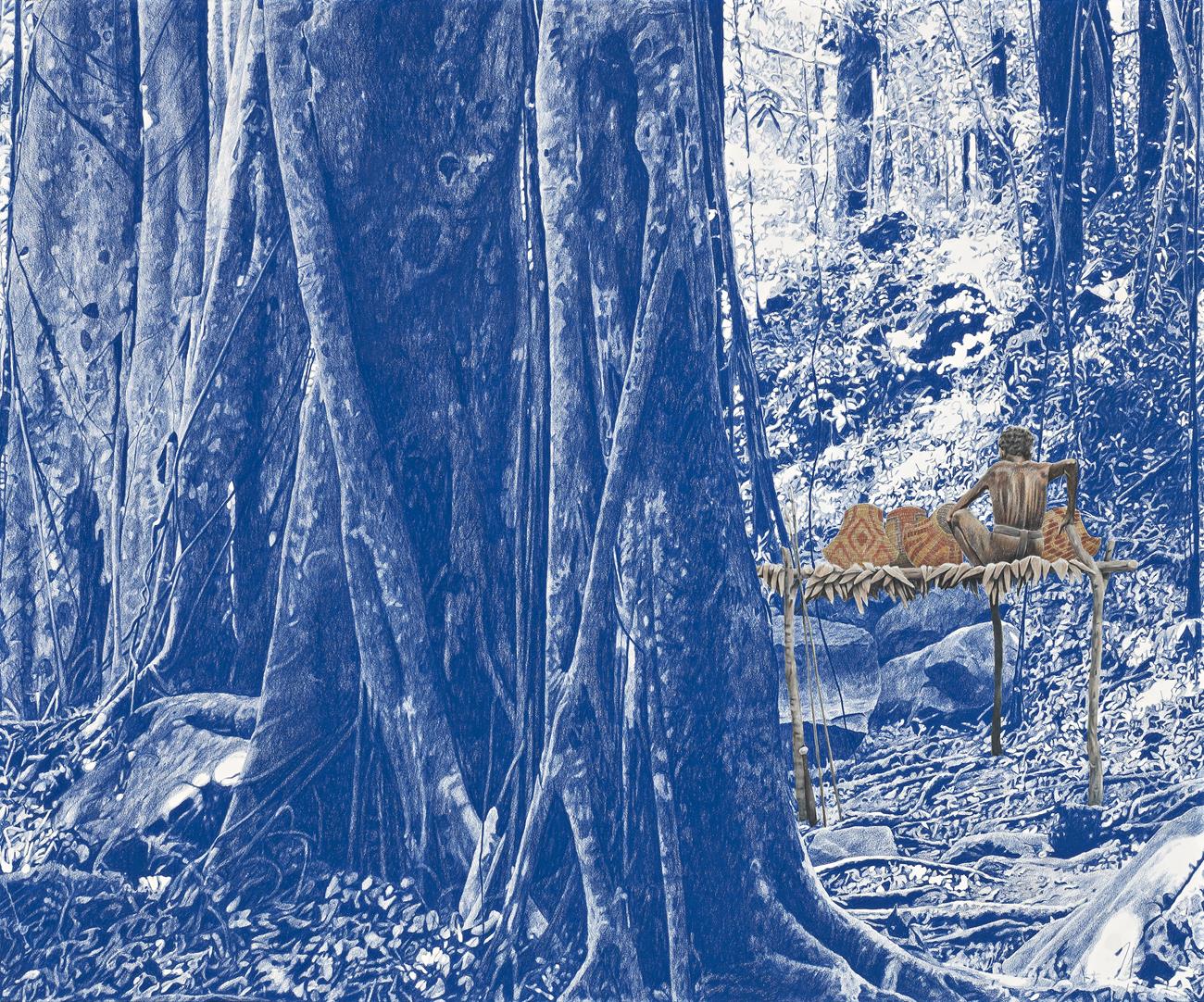 BAYI DAMBUN (GLADES OF DUSK AND SHADE)