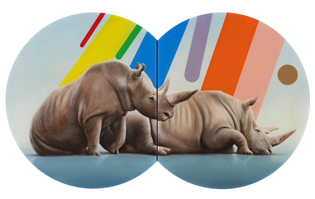 RHINOS WITH EVOLUTION OF COLOUR TERMS