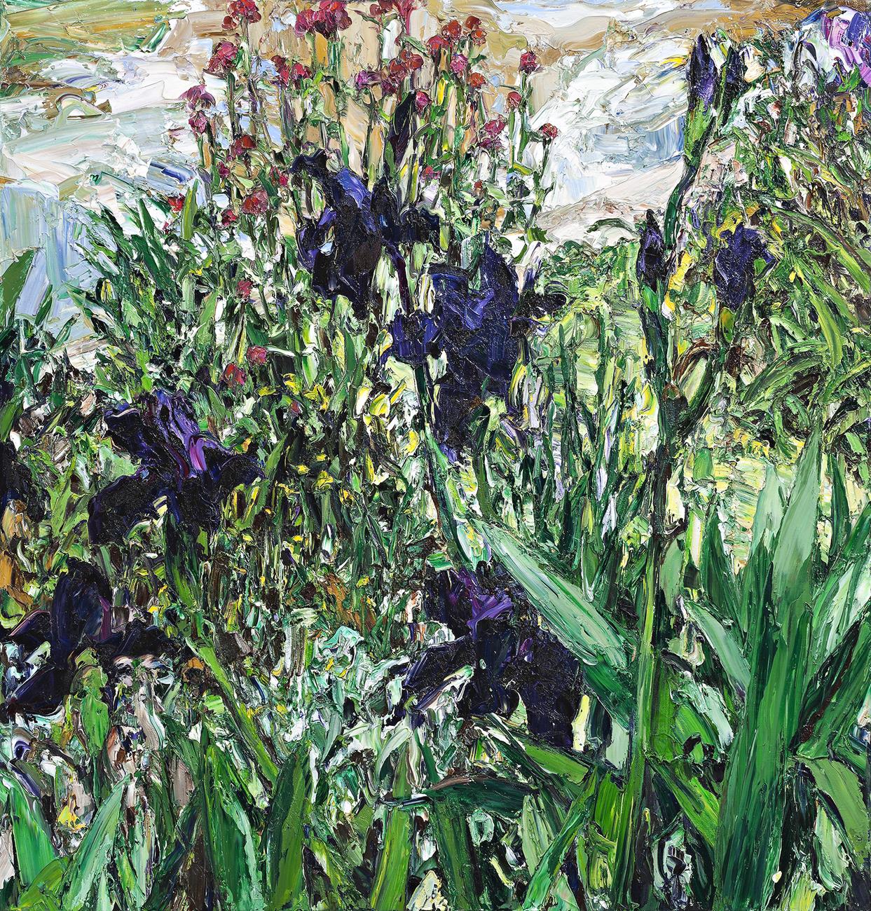 PARIS POND IRISES (1)