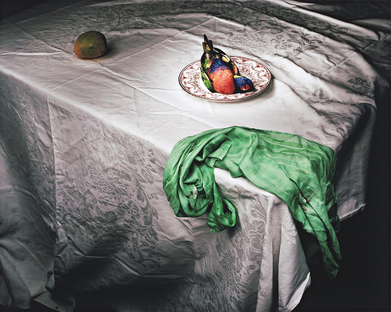 LORIKEET WITH GREEN CLOTH