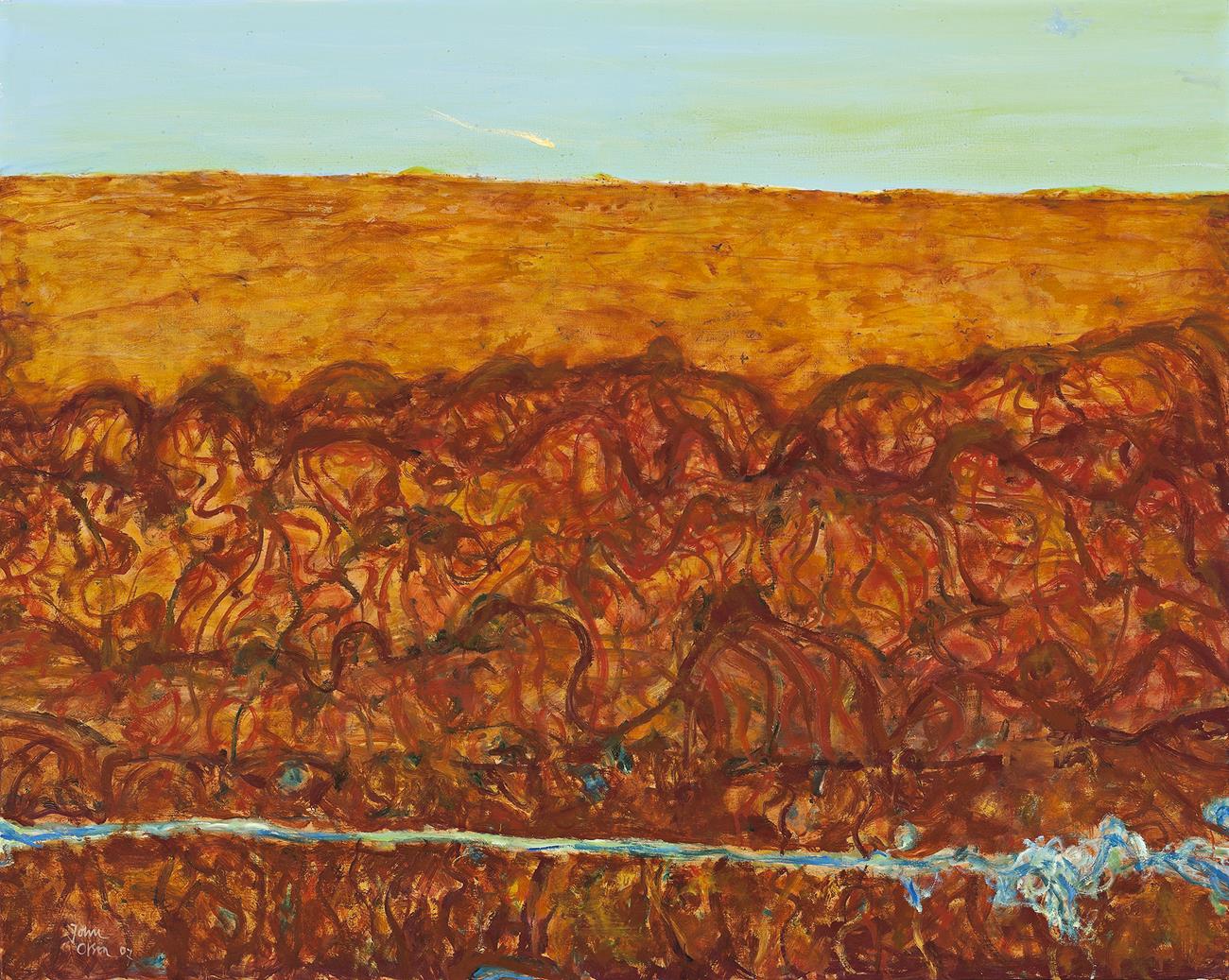 FLOODED RIVER PASSING THE SIMPSON DESERT