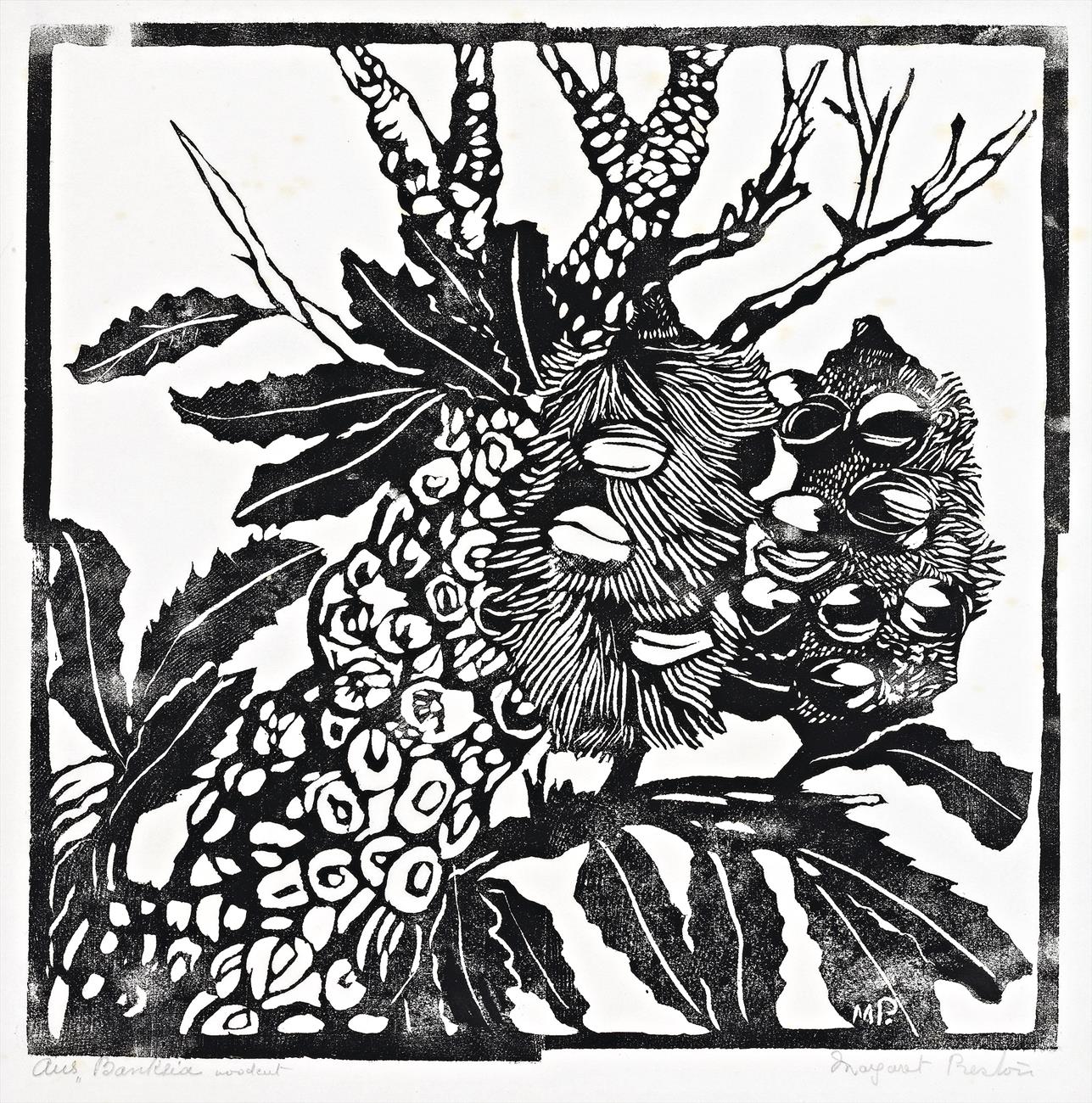BANKSIA AND TRUNK