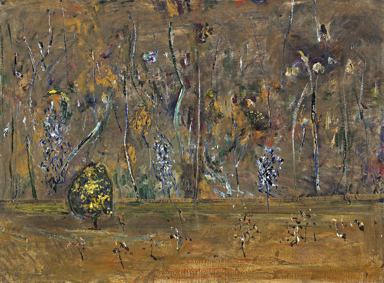 ACACIAS IN THE YOU YANGS II