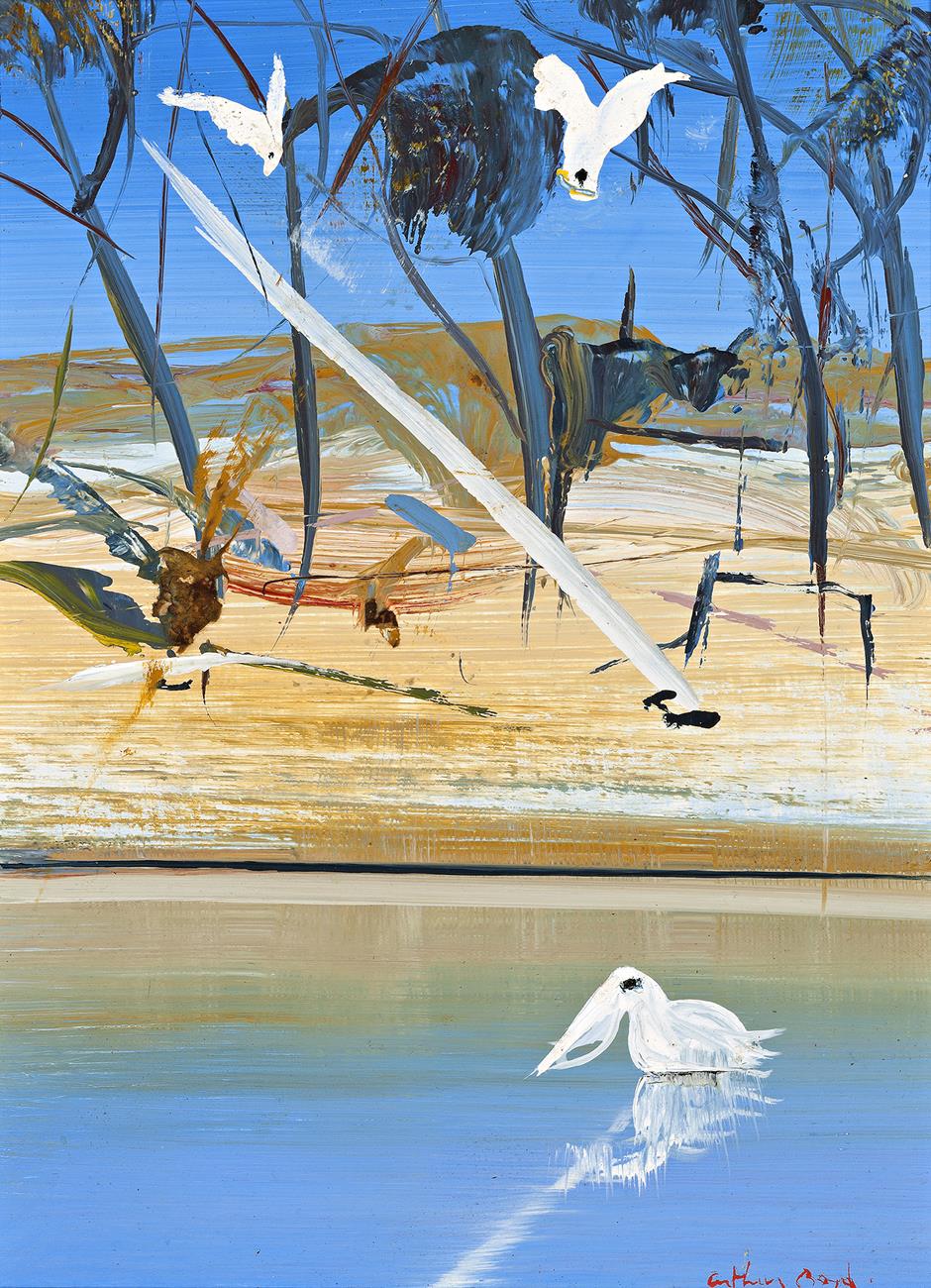 SHOALHAVEN RIVER WITH COCKATOOS AND PELICAN