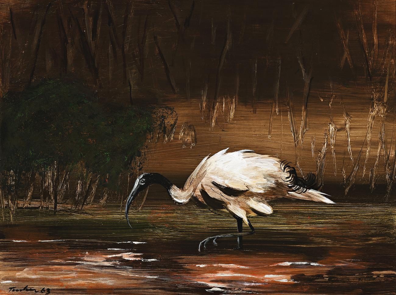 IBIS