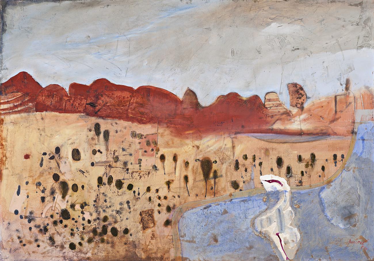 CENTRAL DESERT LANDSCAPE