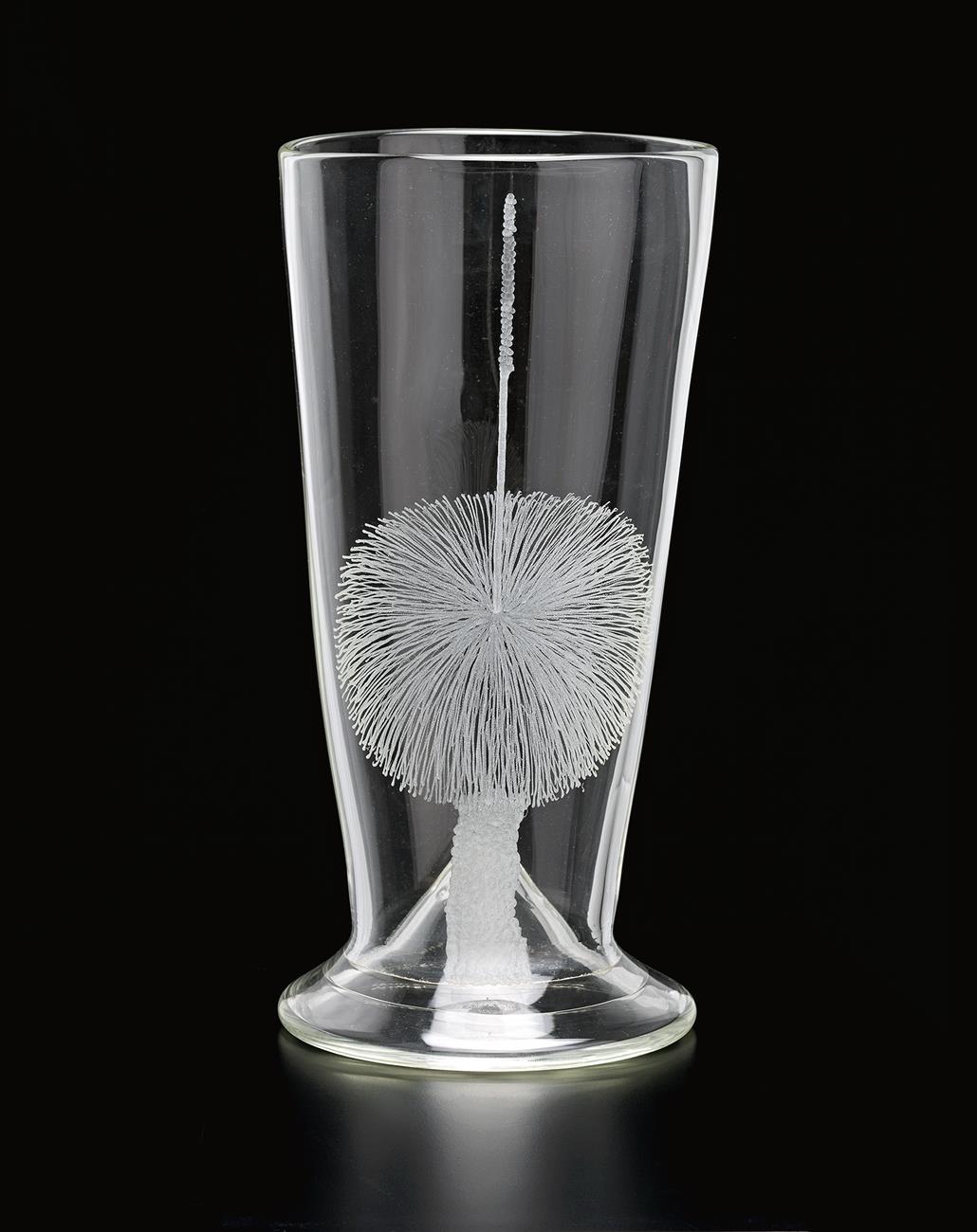 BLACKBOY VASE