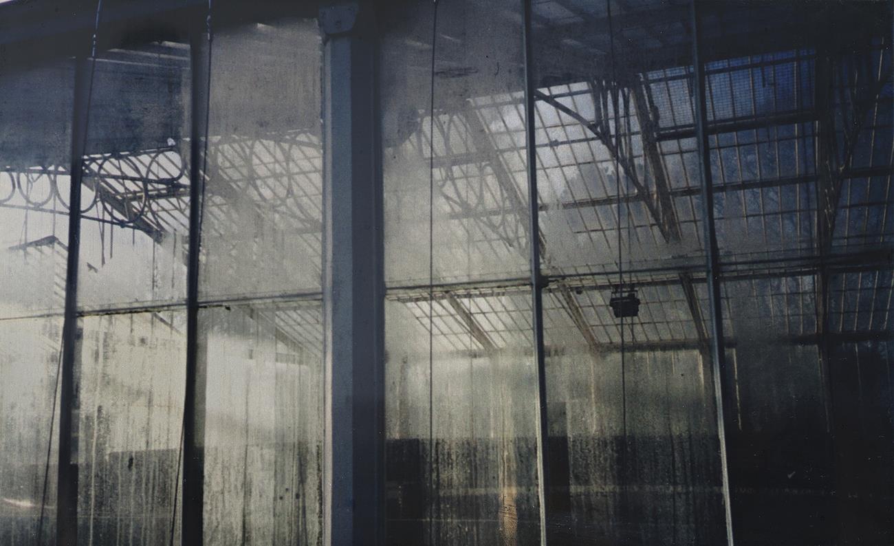 GLASSHOUSE SERIES