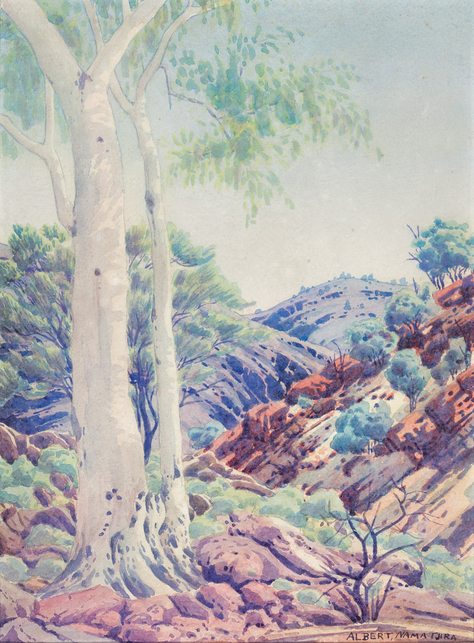 GHOST GUM AND VALLEY, MACDONNELL RANGES