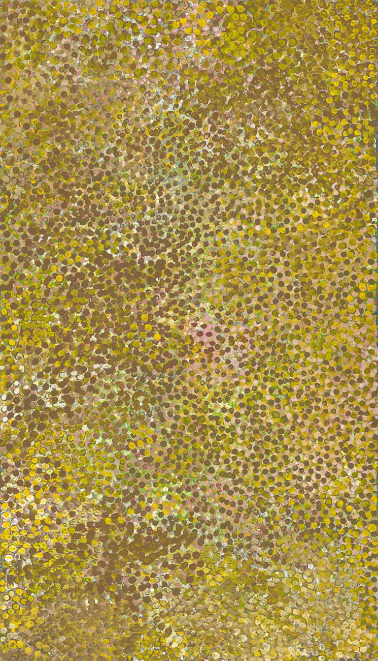 A DESERT LIFE CYCLE III