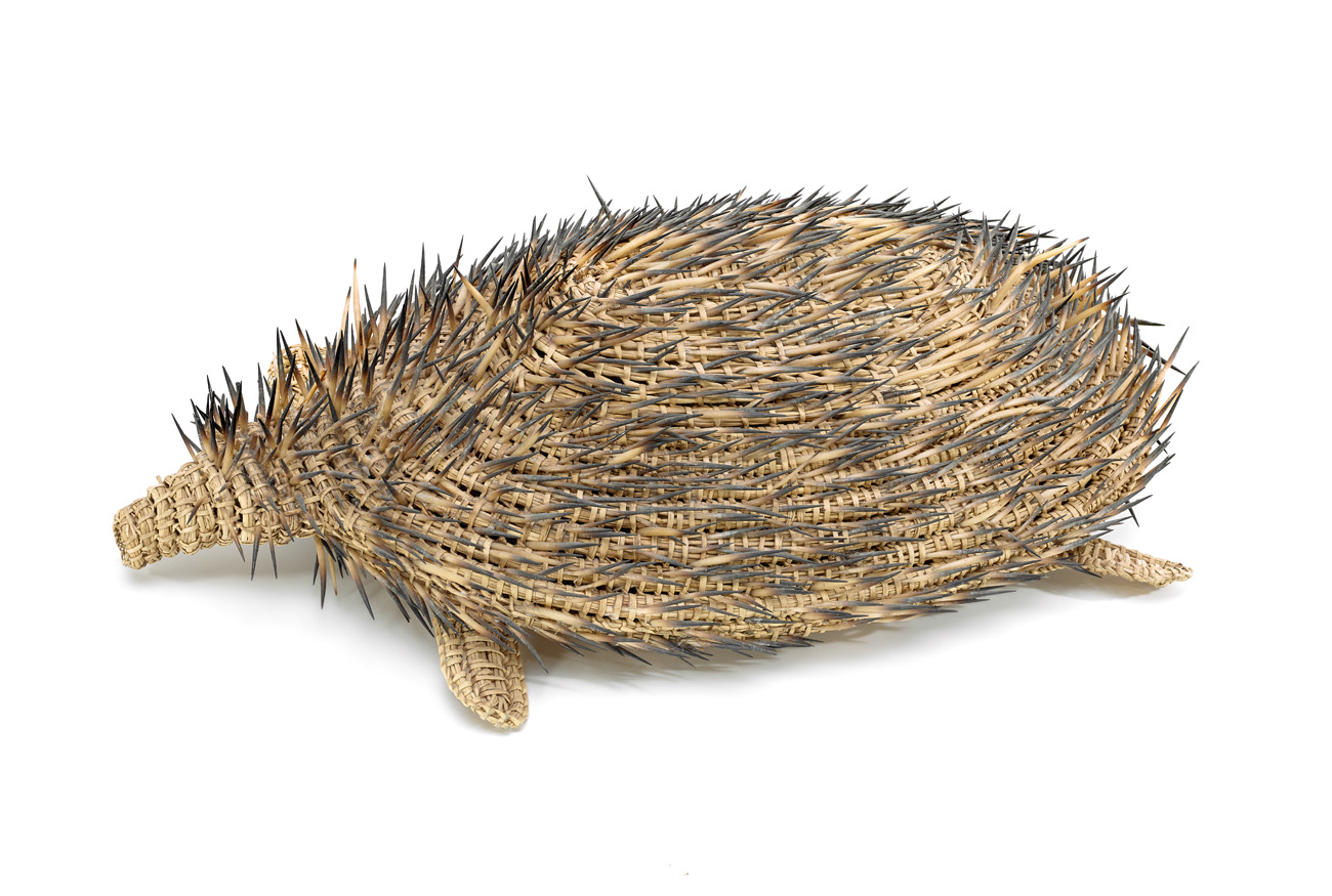 ECHIDNA