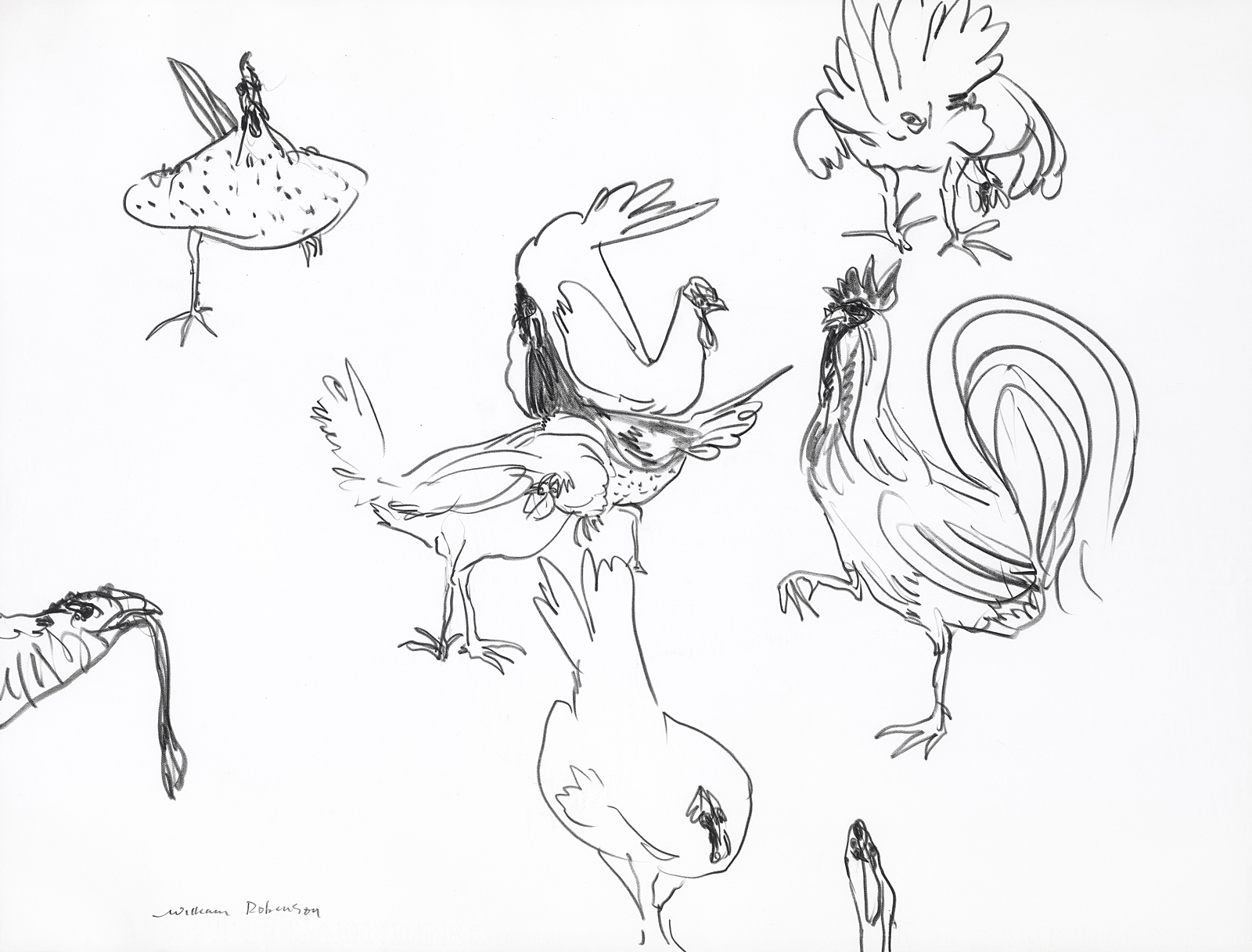 CHOOKS