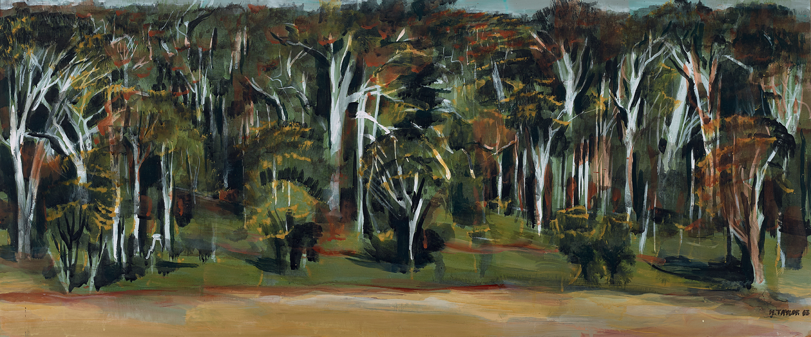 KARRI FOREST
