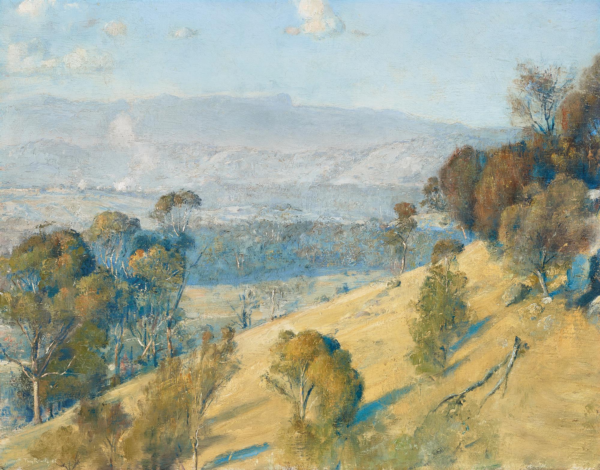 DANDENONGS LANDSCAPE