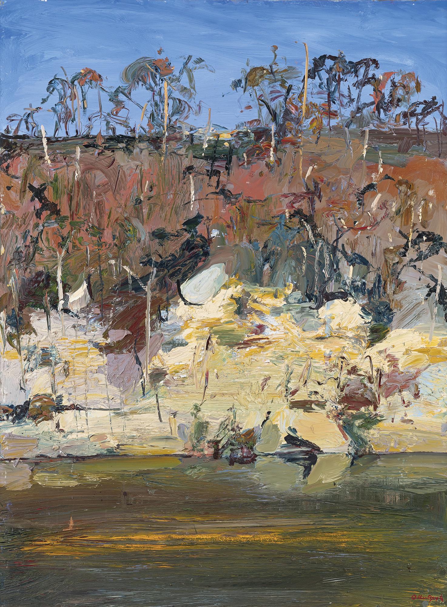 SHOALHAVEN RIVERBANK