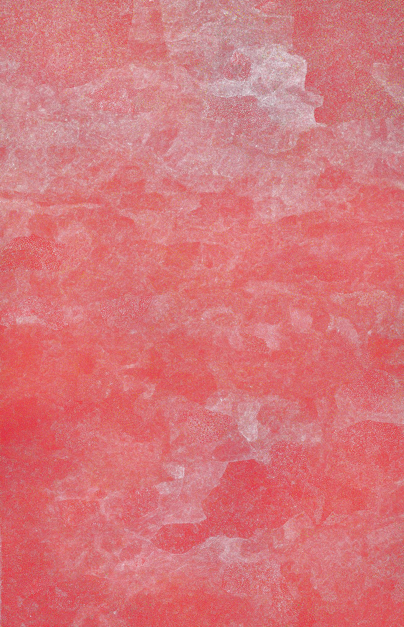 BUSH PLUM