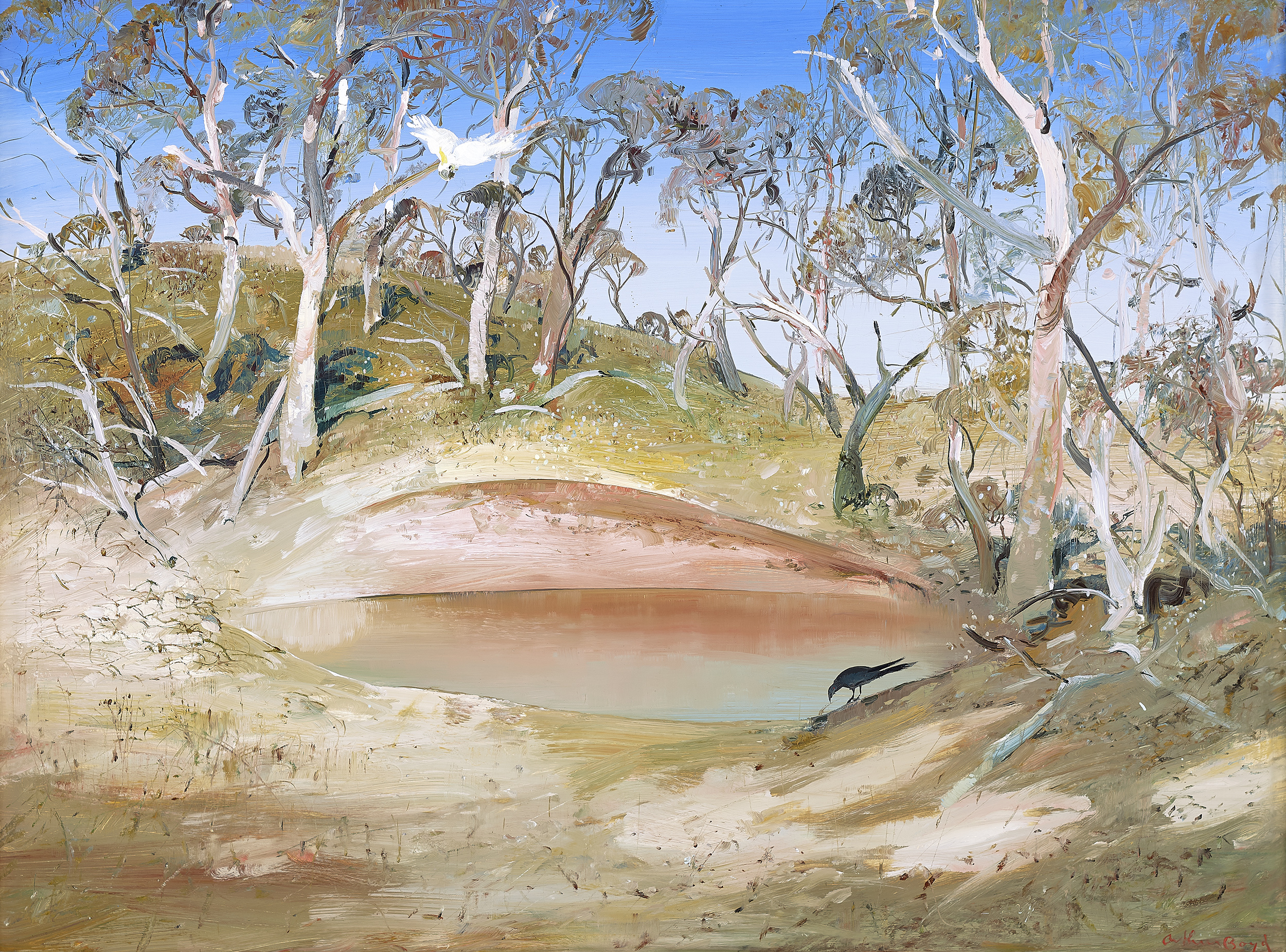 WATERHOLE NEAR CANBERRA