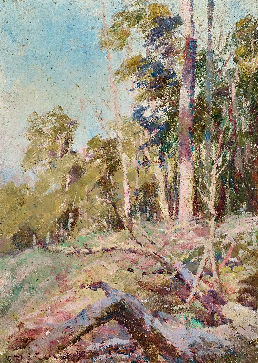 THE CLEARING, MT. MACEDON