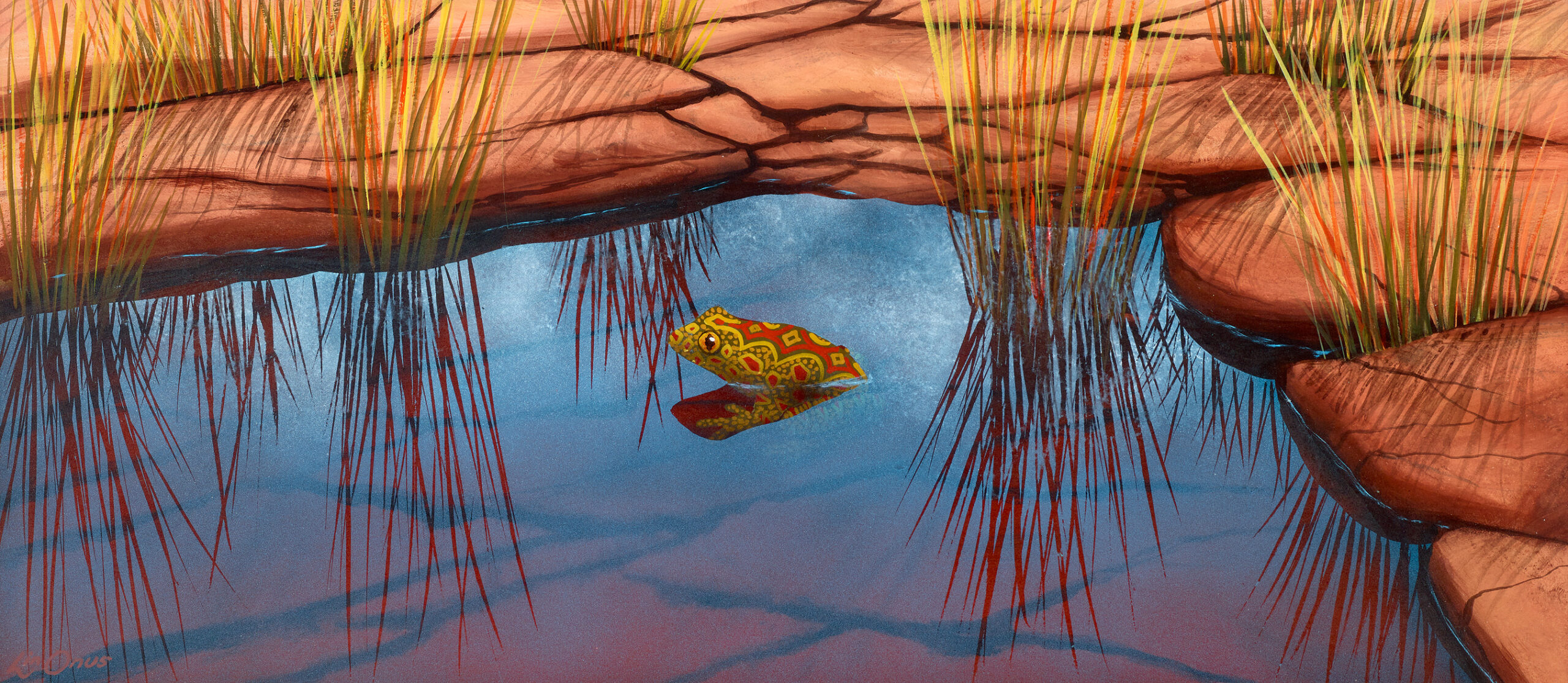 FROG AT BULLITA CREEK