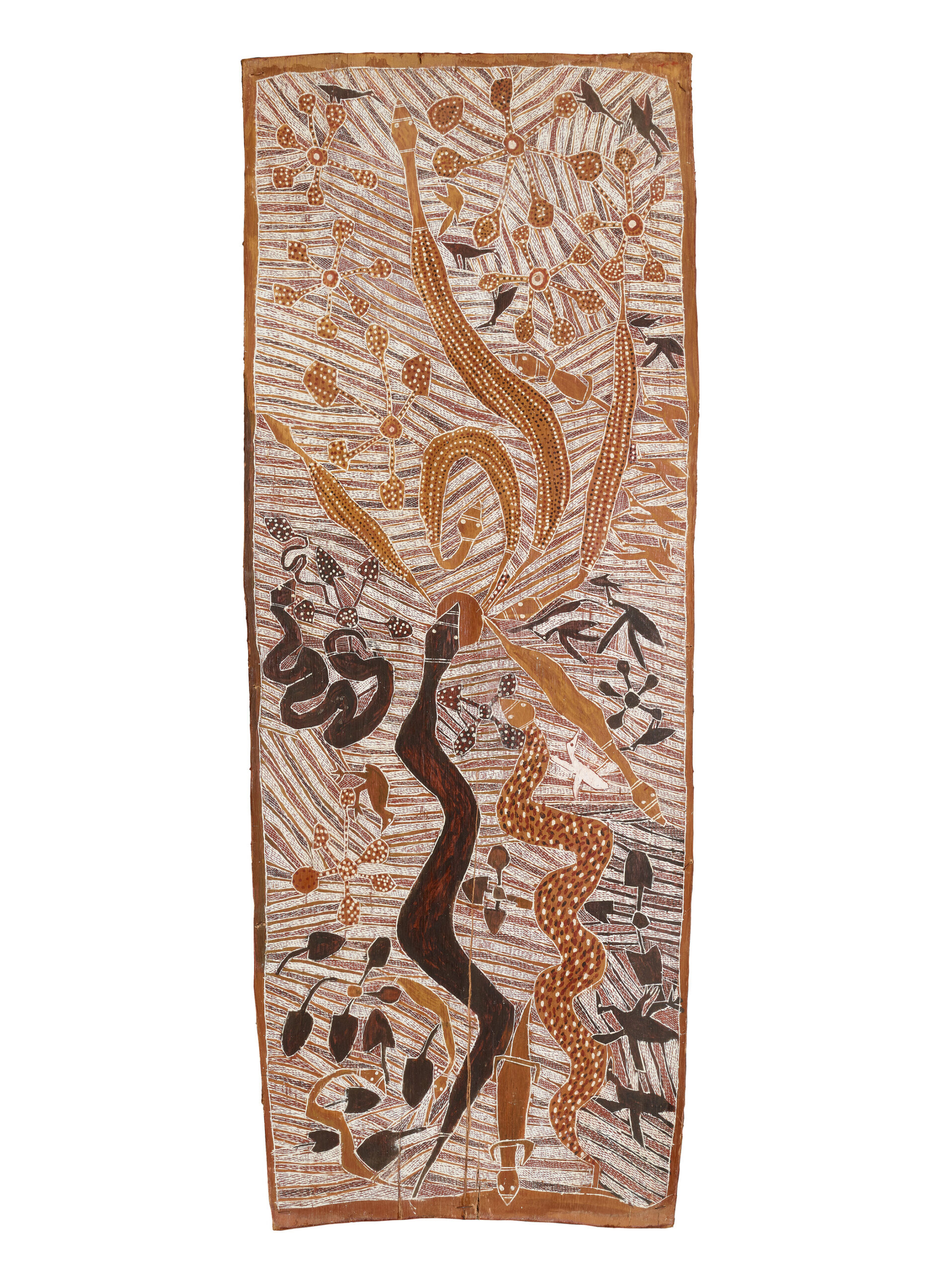 UNTITLED (CREATION STORY)