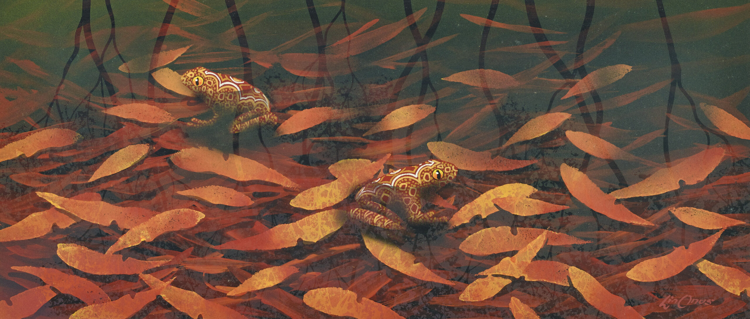 MARRI MALIRI GARKMAN (FROGS AT DUSK)