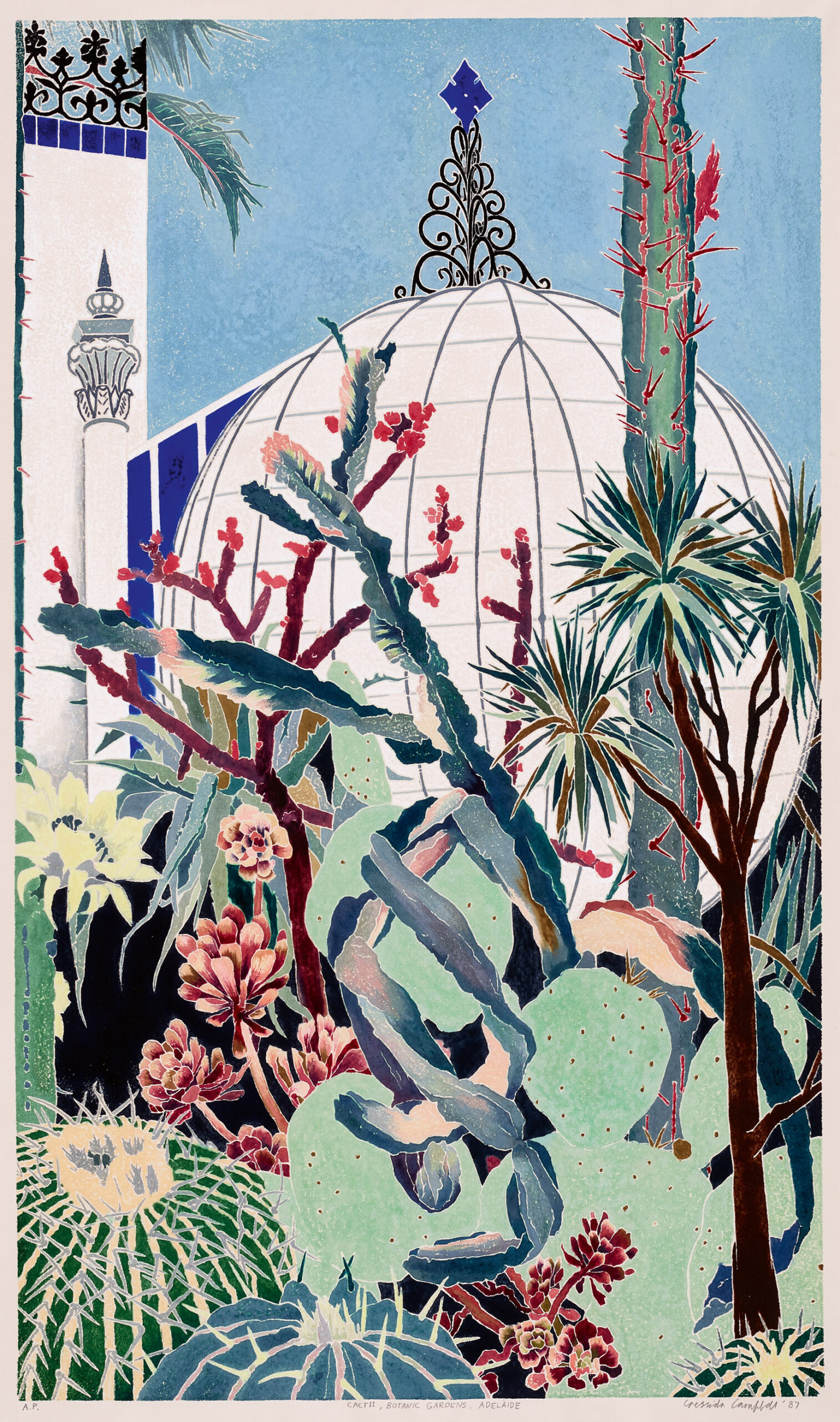 CACTII, BOTANIC GARDENS, ADELAIDE