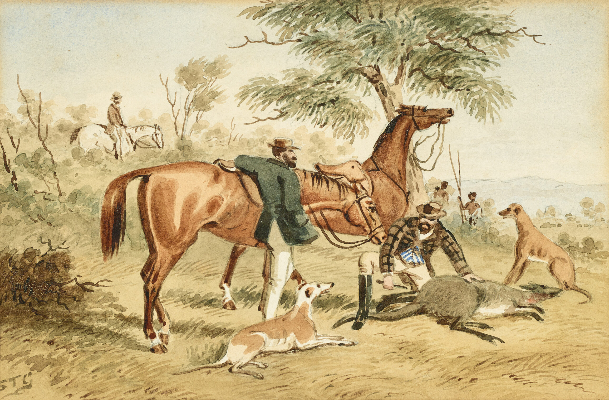 THE KANGAROO HUNT