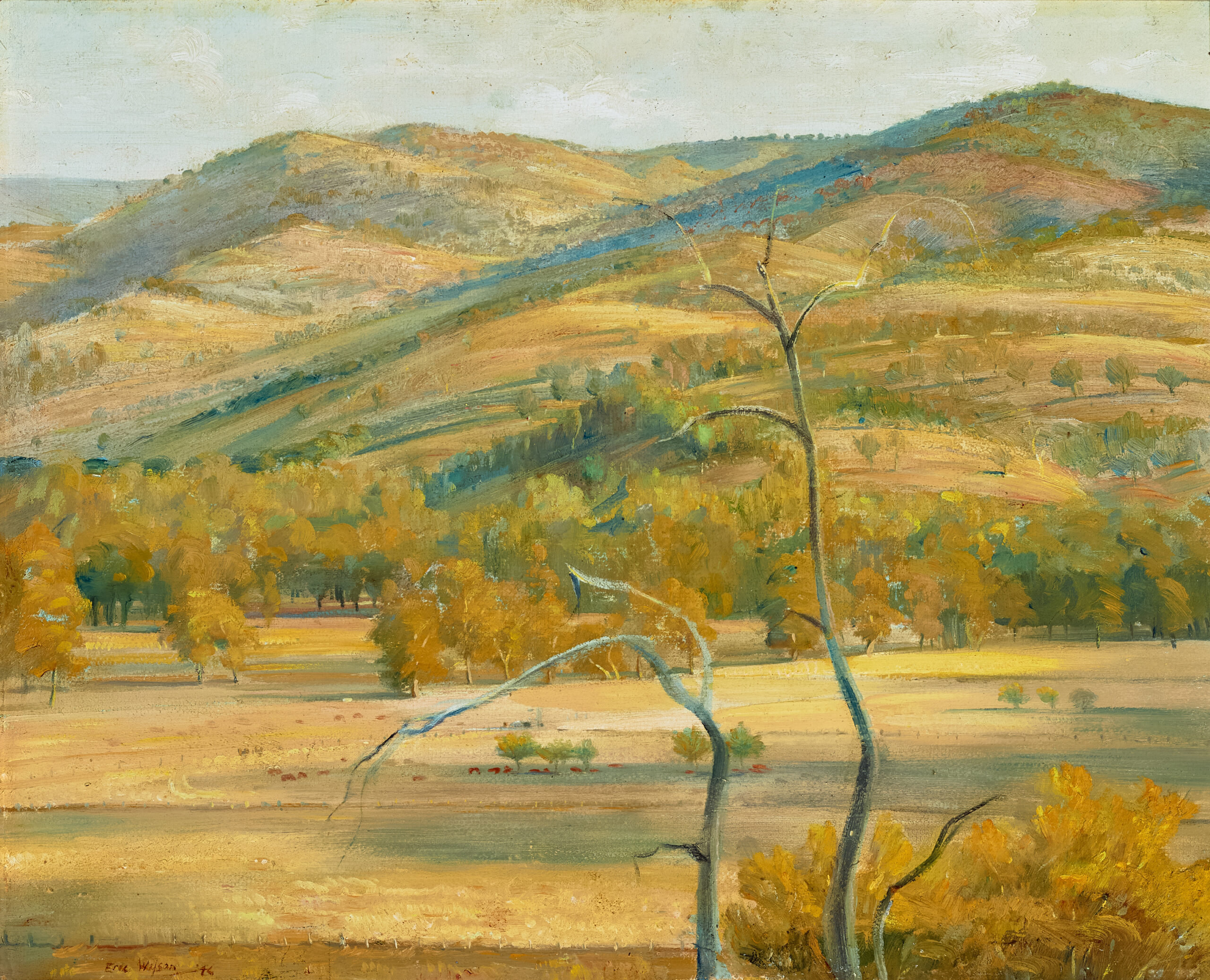 YABTREE HILLS, WANTABADGERY