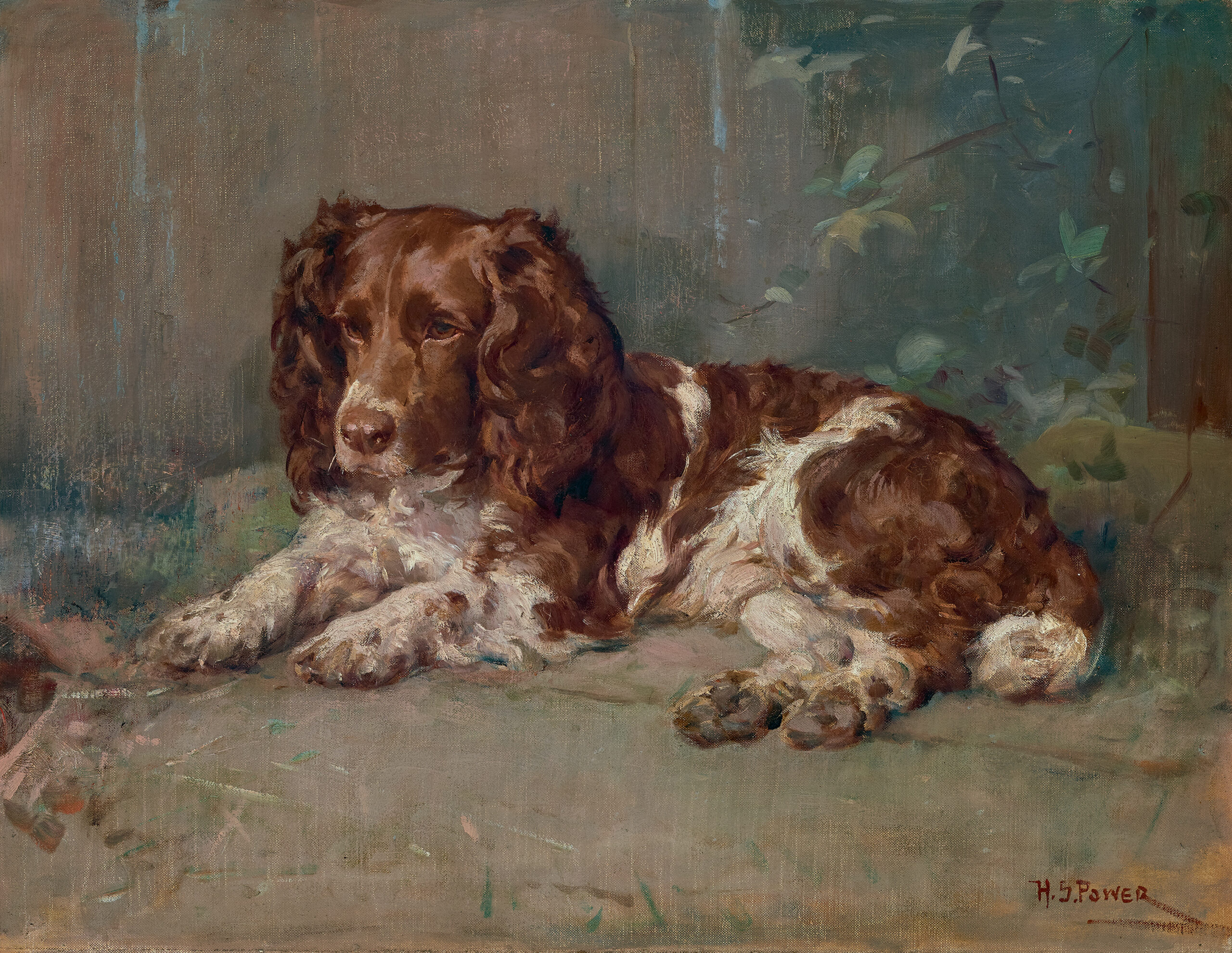 SPANIEL