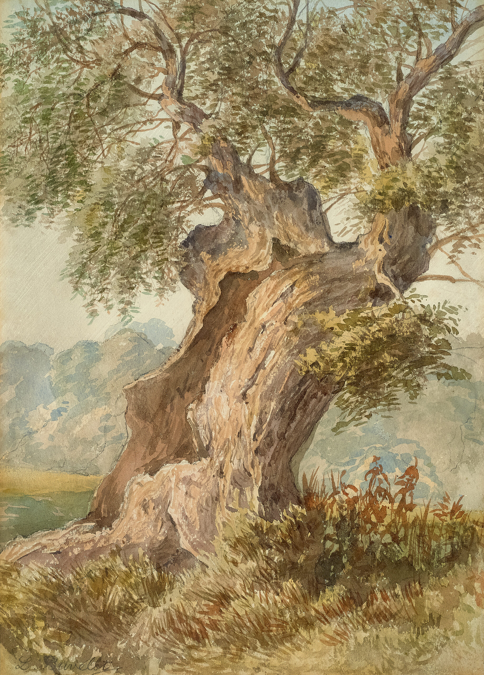 THE TREE