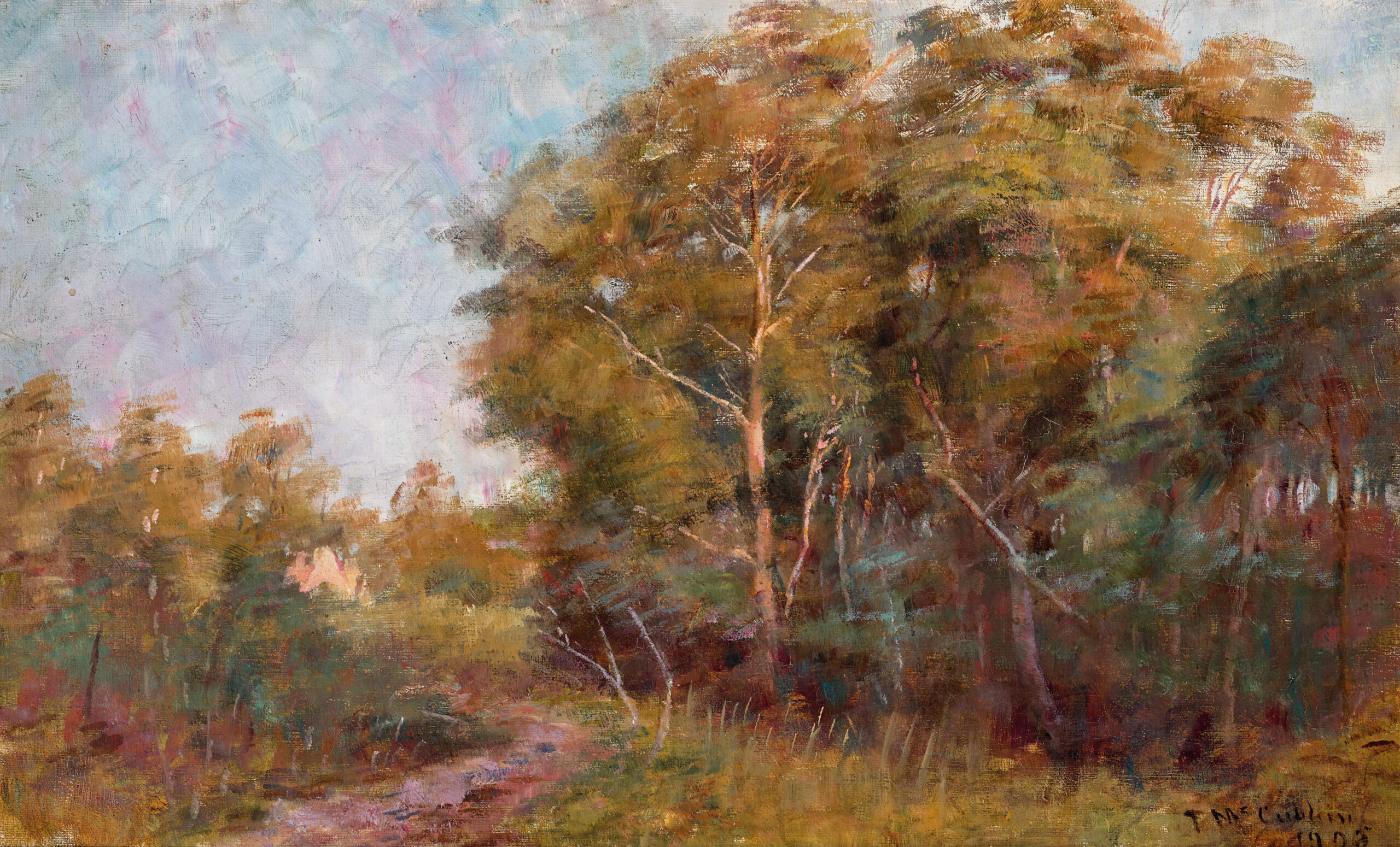 BUSH LANDSCAPE, MACEDON