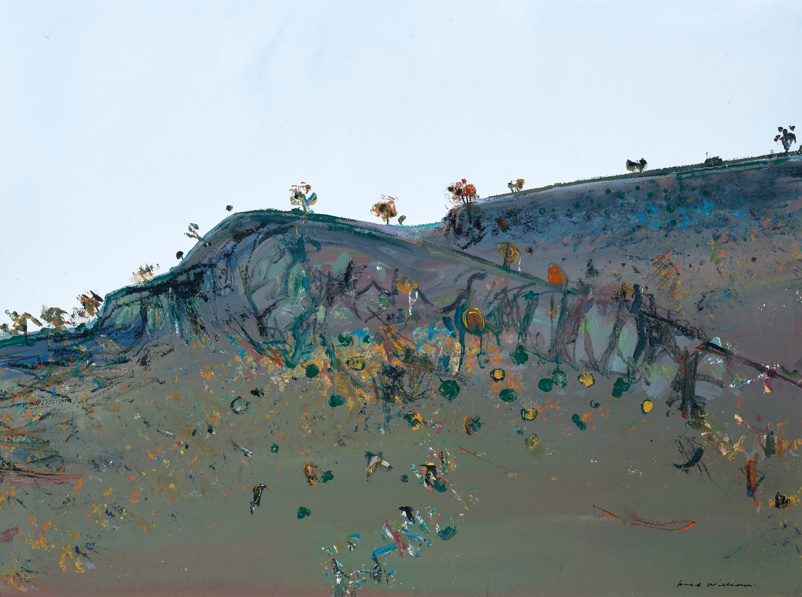 HILLSIDE LANDSCAPE, CAVAN III