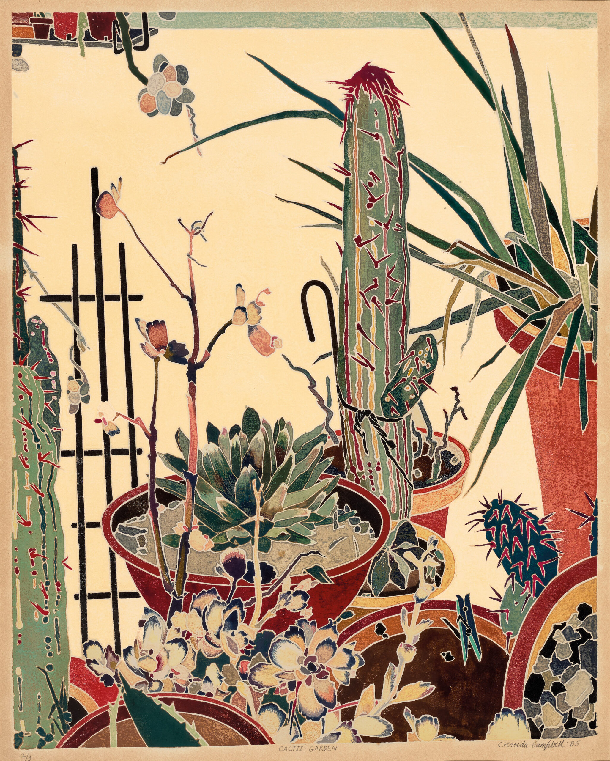 CACTI GARDEN