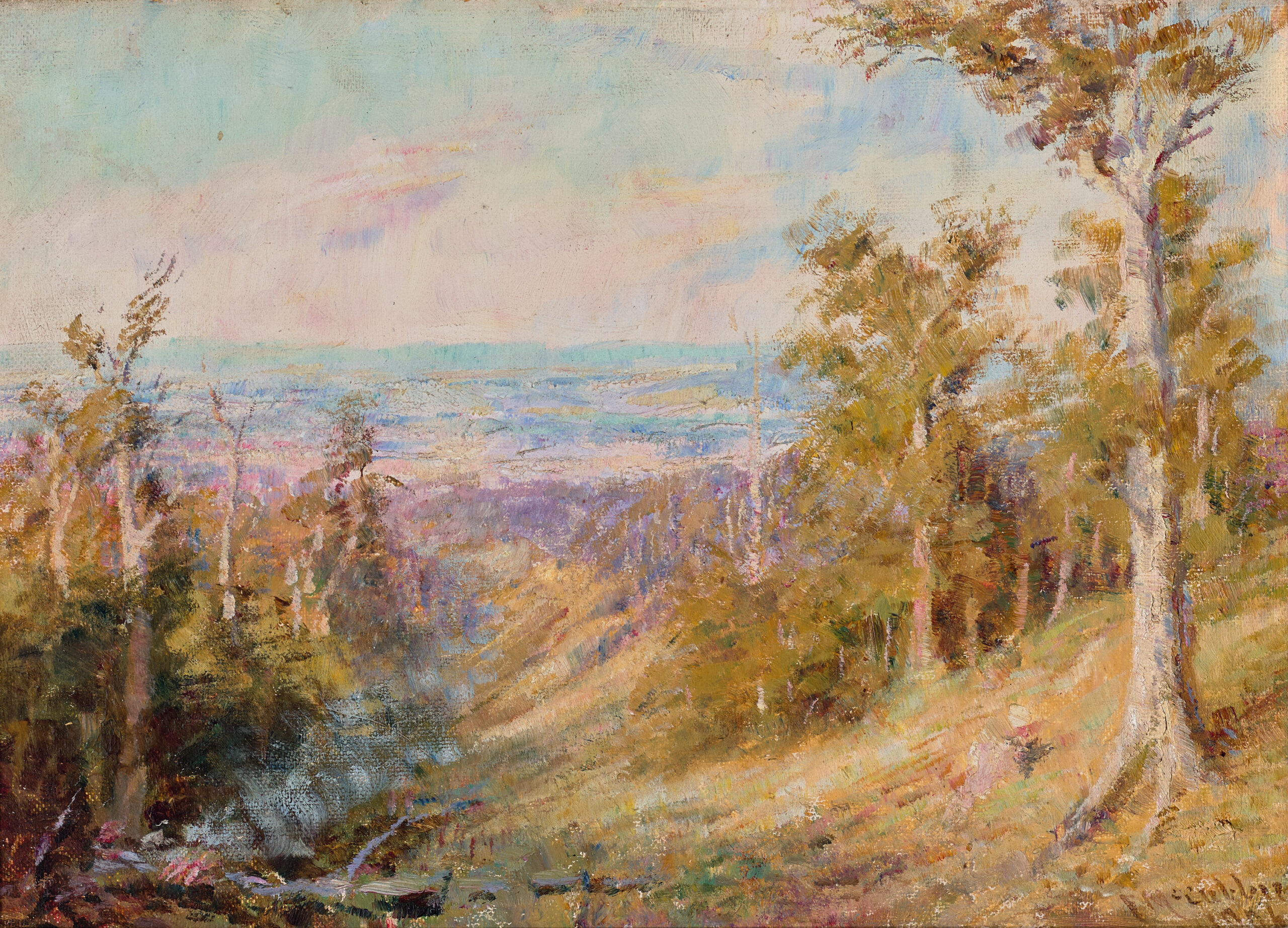 LOOKING NORTH FROM MOUNT MACEDON