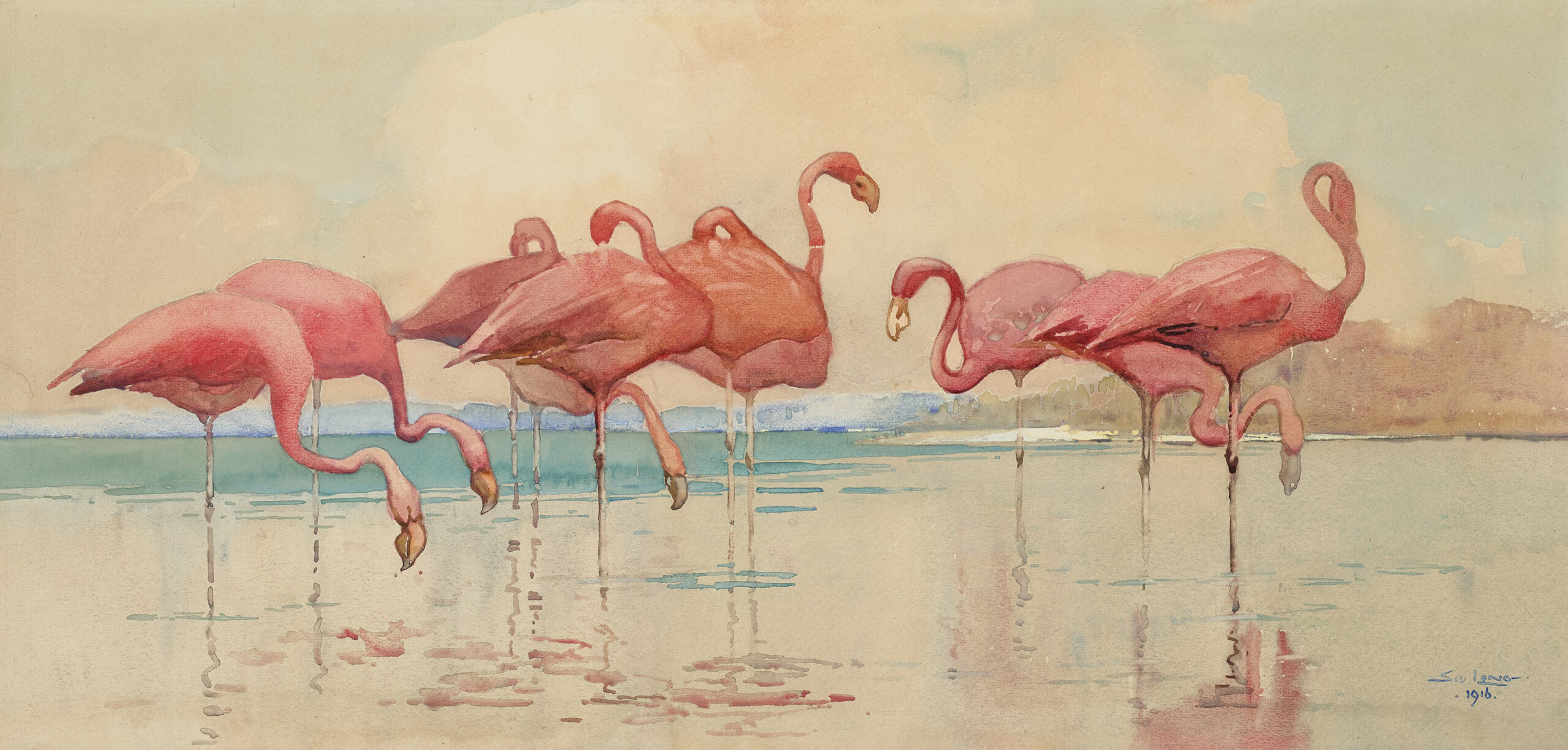 FLAMINGOES