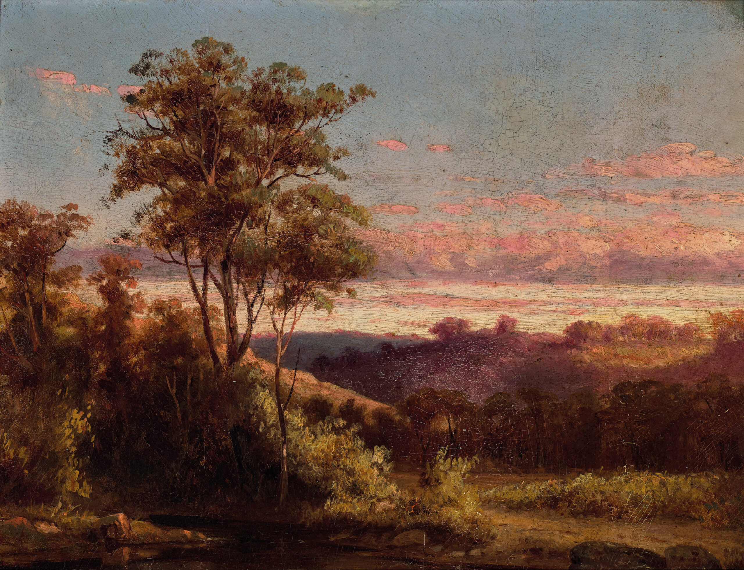 IN THE WESTERN DISTRICT