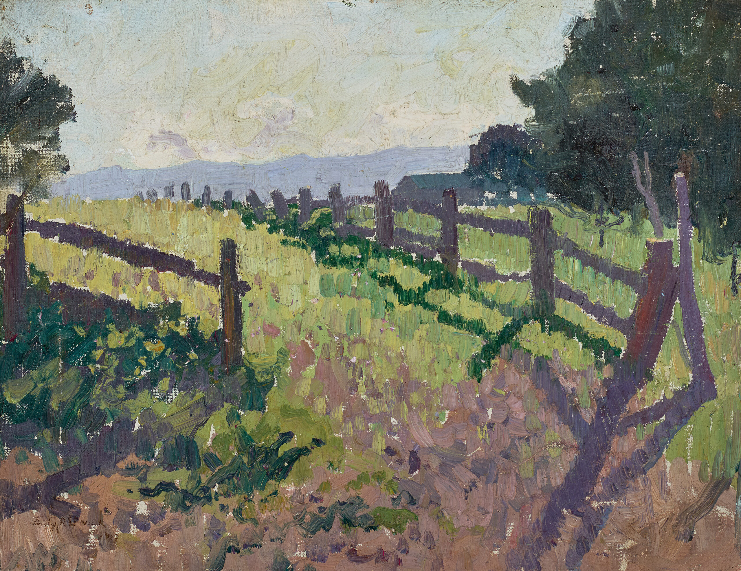FIELD