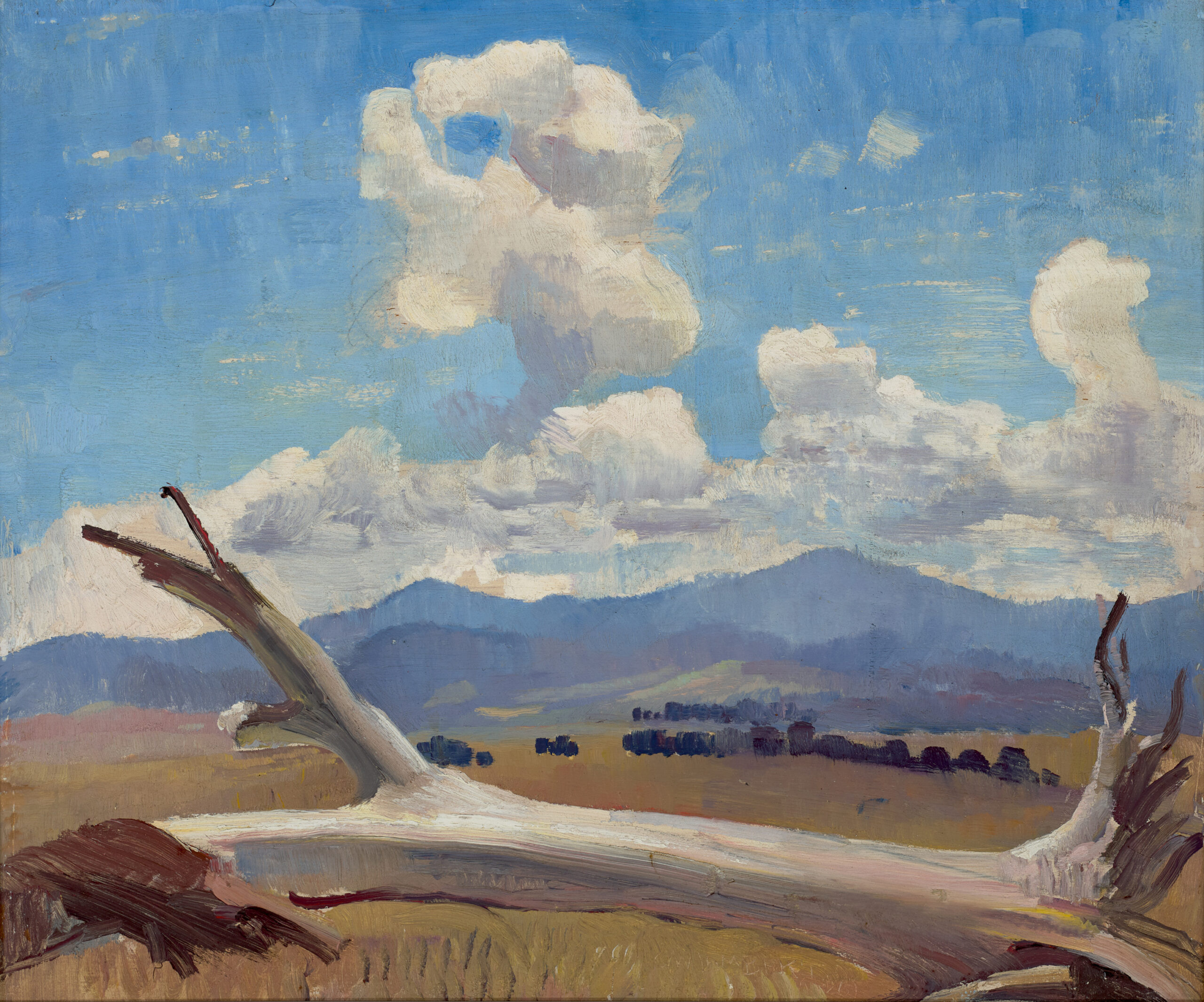 THE DEAD TREE, COLDSTREAM