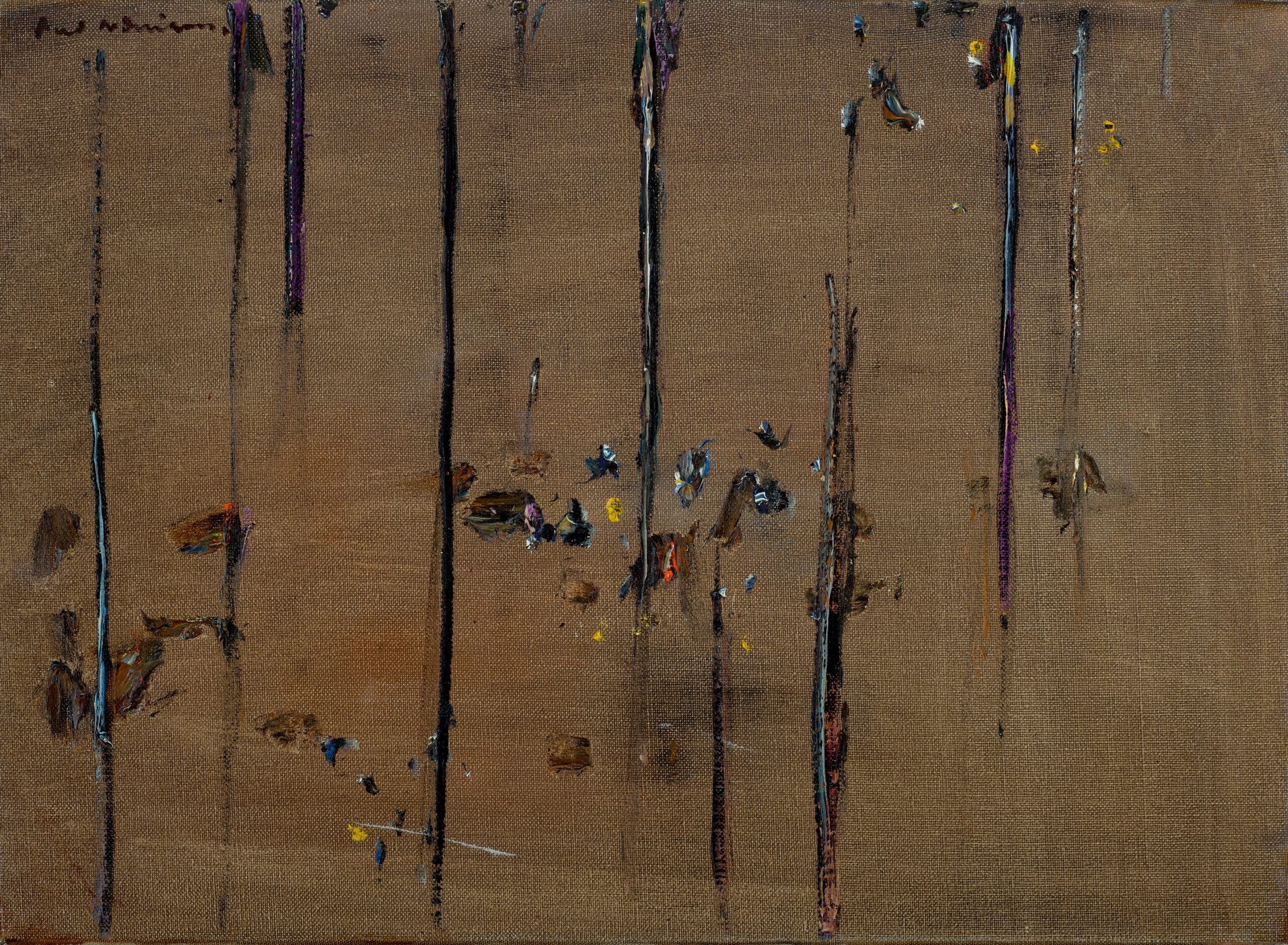 SAPLING PANEL V