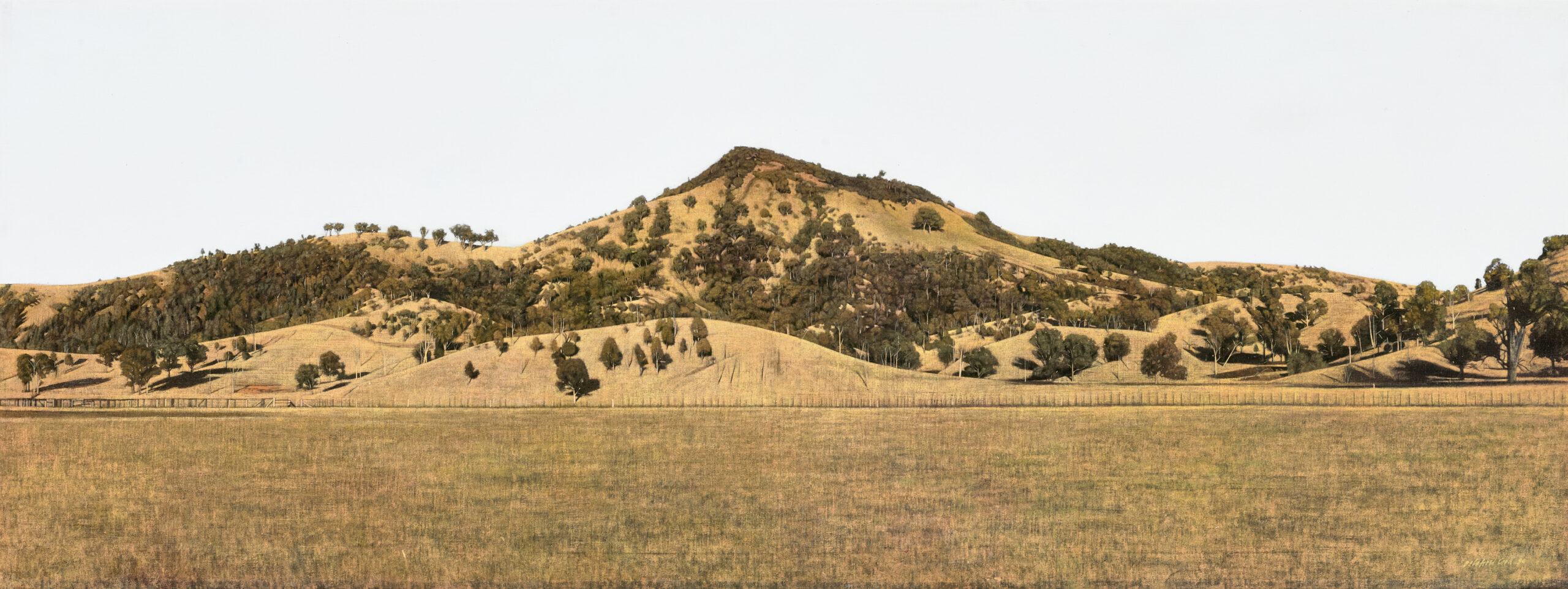 HILLSIDE, ELLERSTON