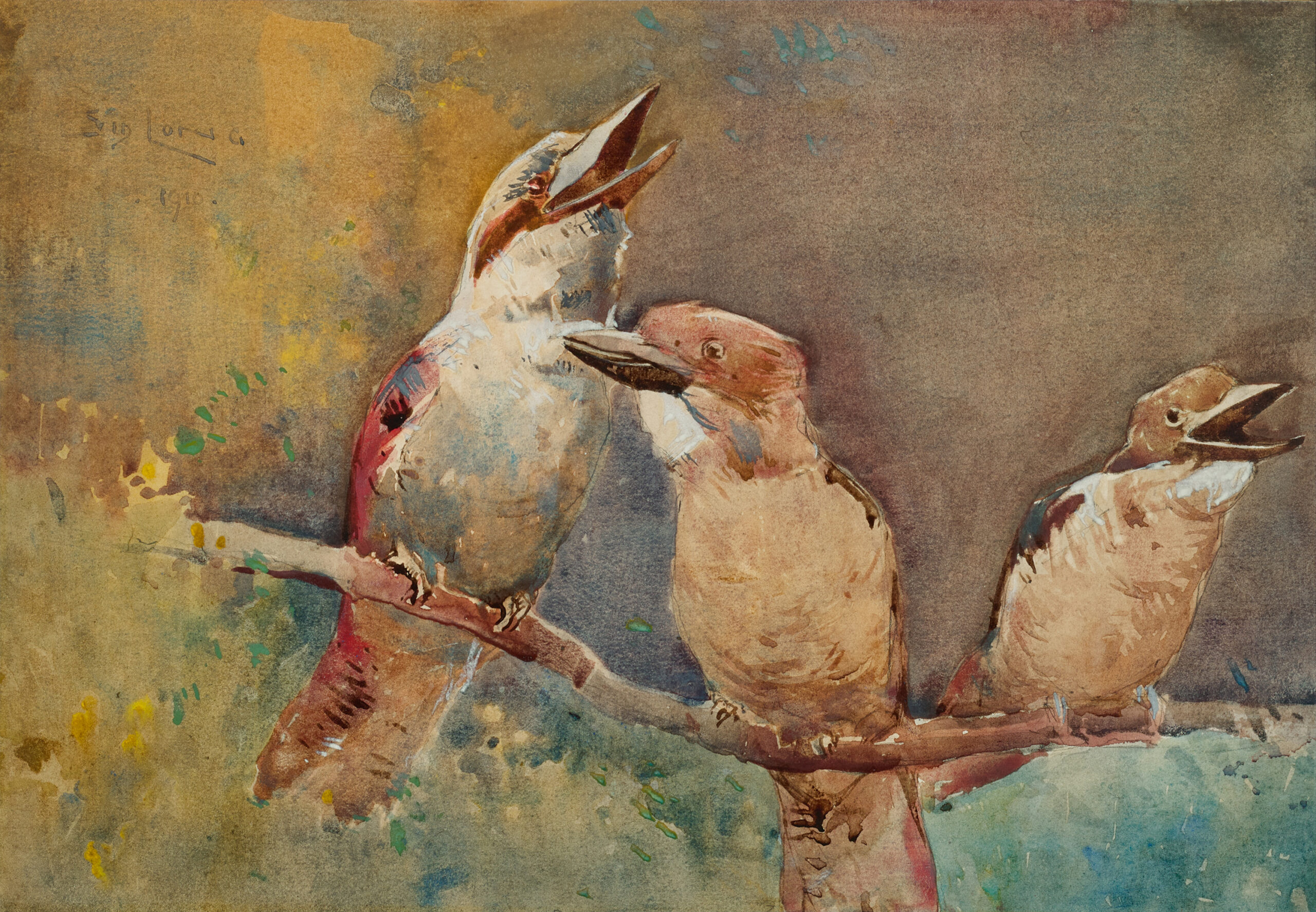 KOOKABURRAS