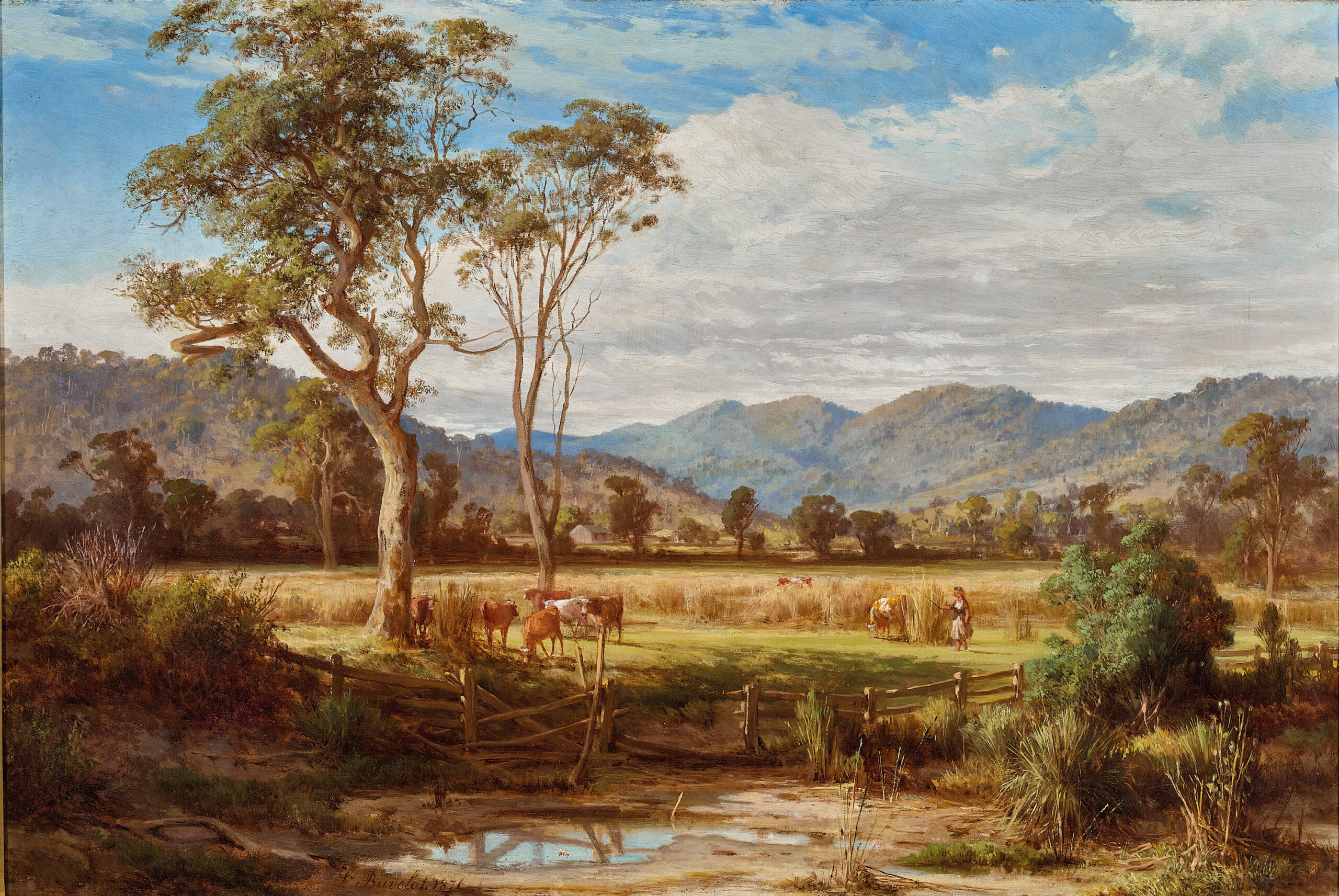 BACCHUS MARSH PASTURE